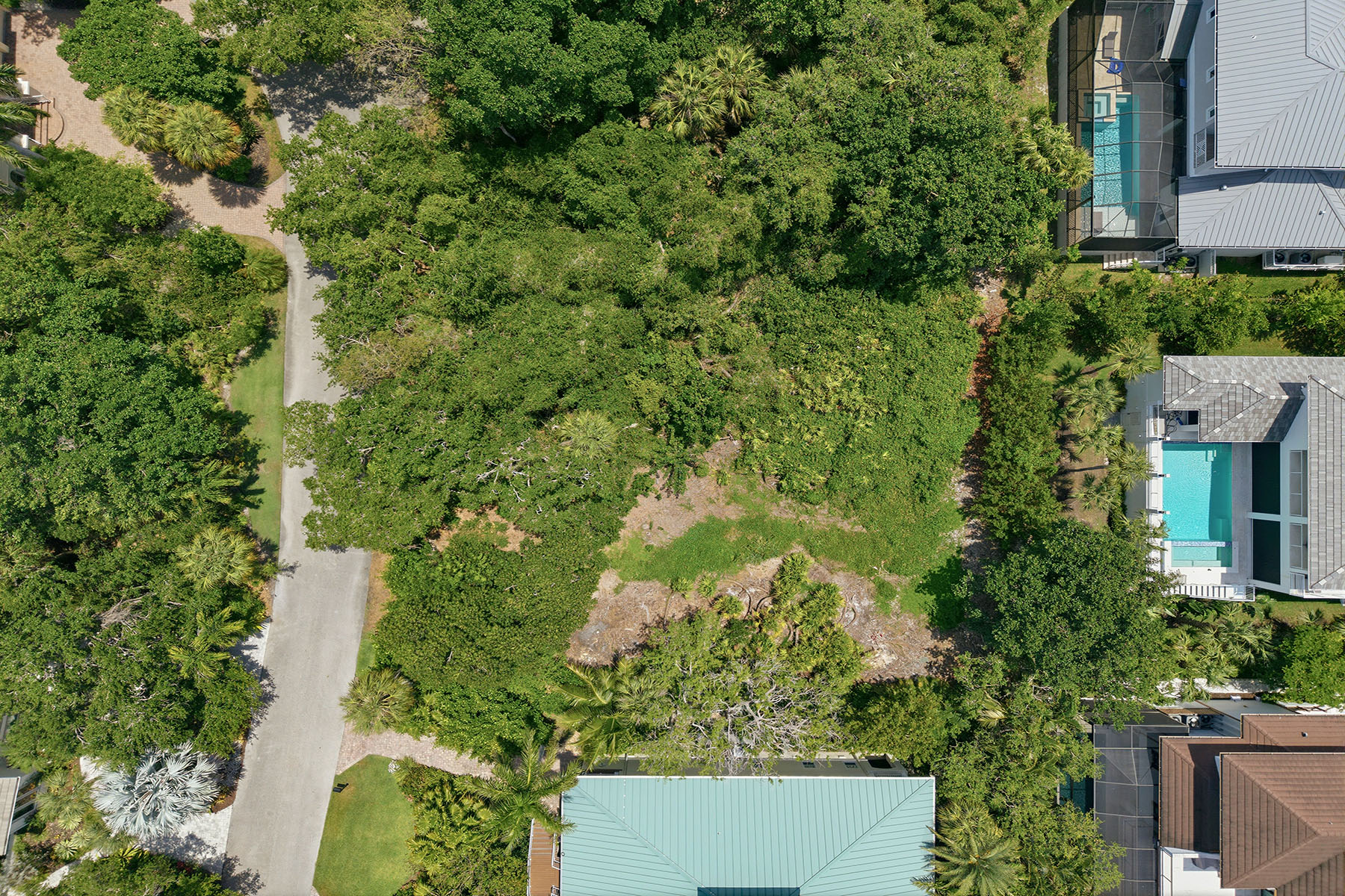 375 Gumbo Limbo Lane