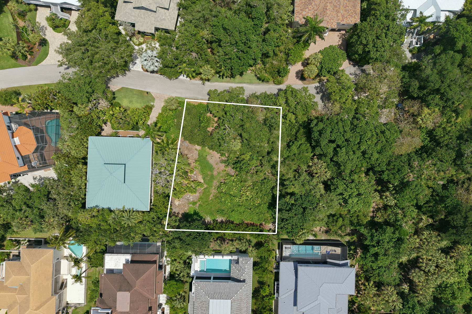 375 Gumbo Limbo Lane