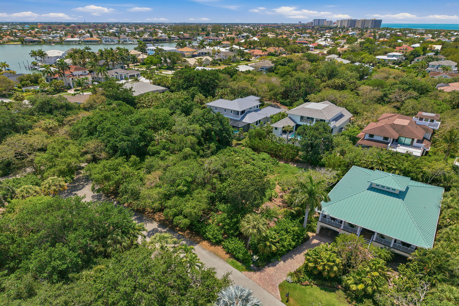 375 Gumbo Limbo Lane