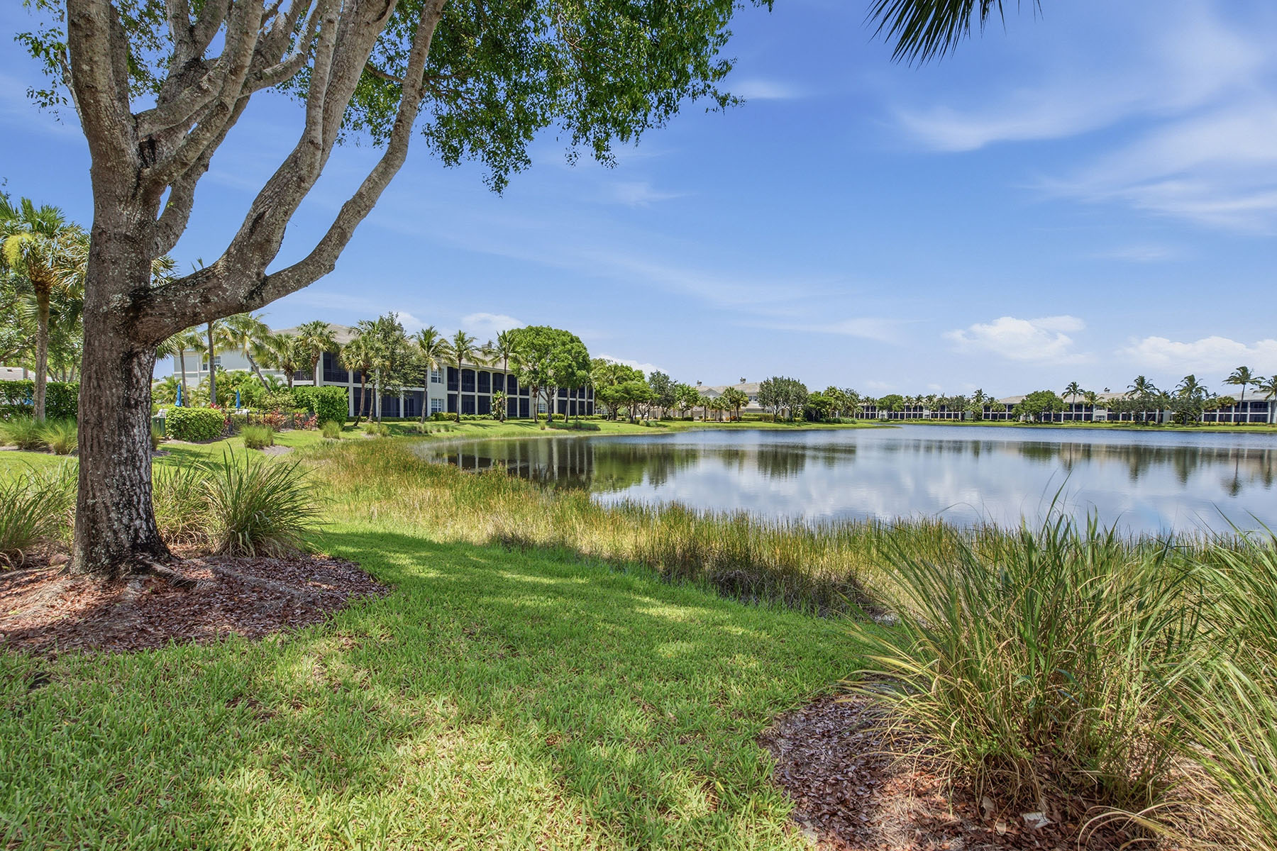 9243 Tesoro Lane , 103