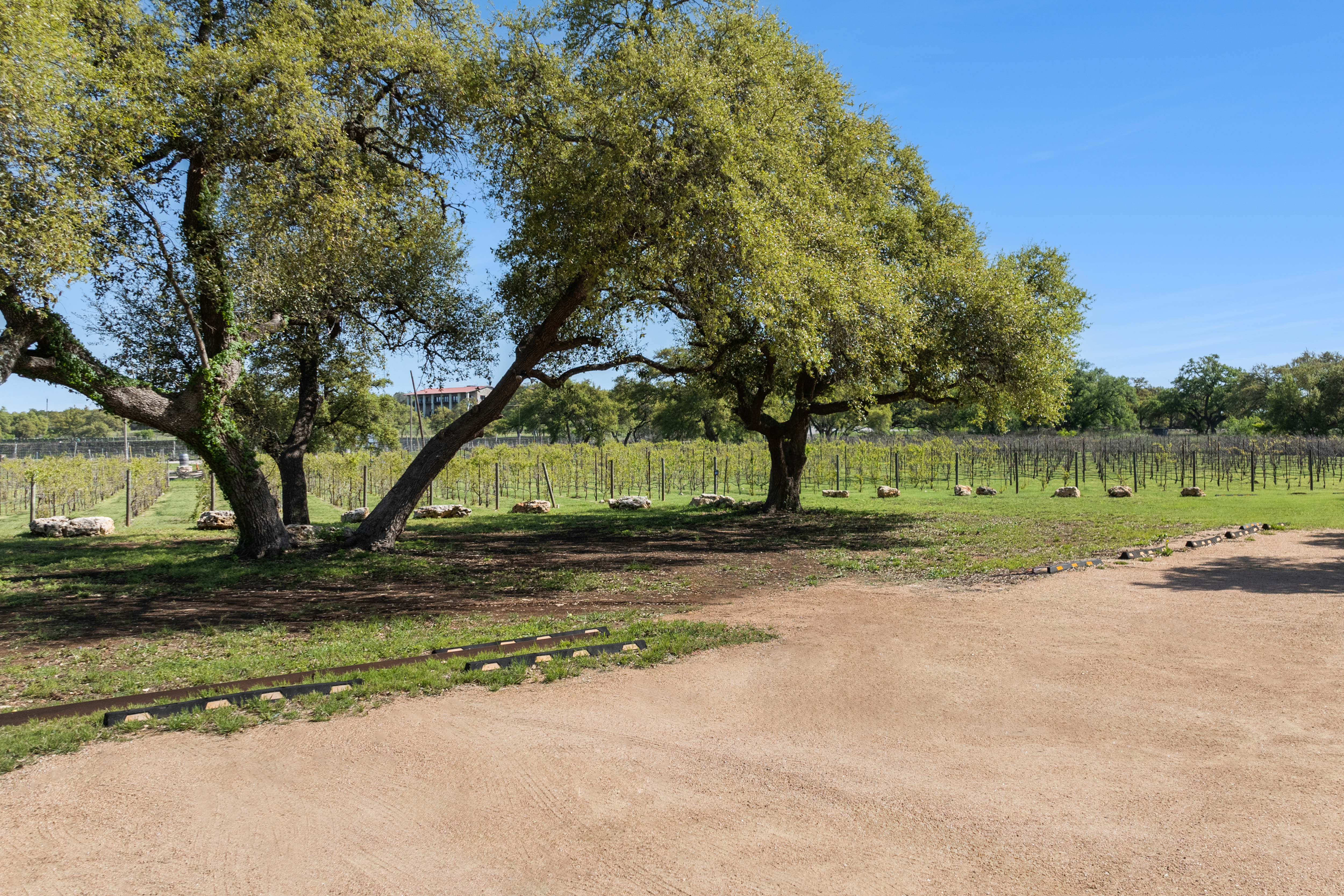 18059 Farm to Market Road 1826 