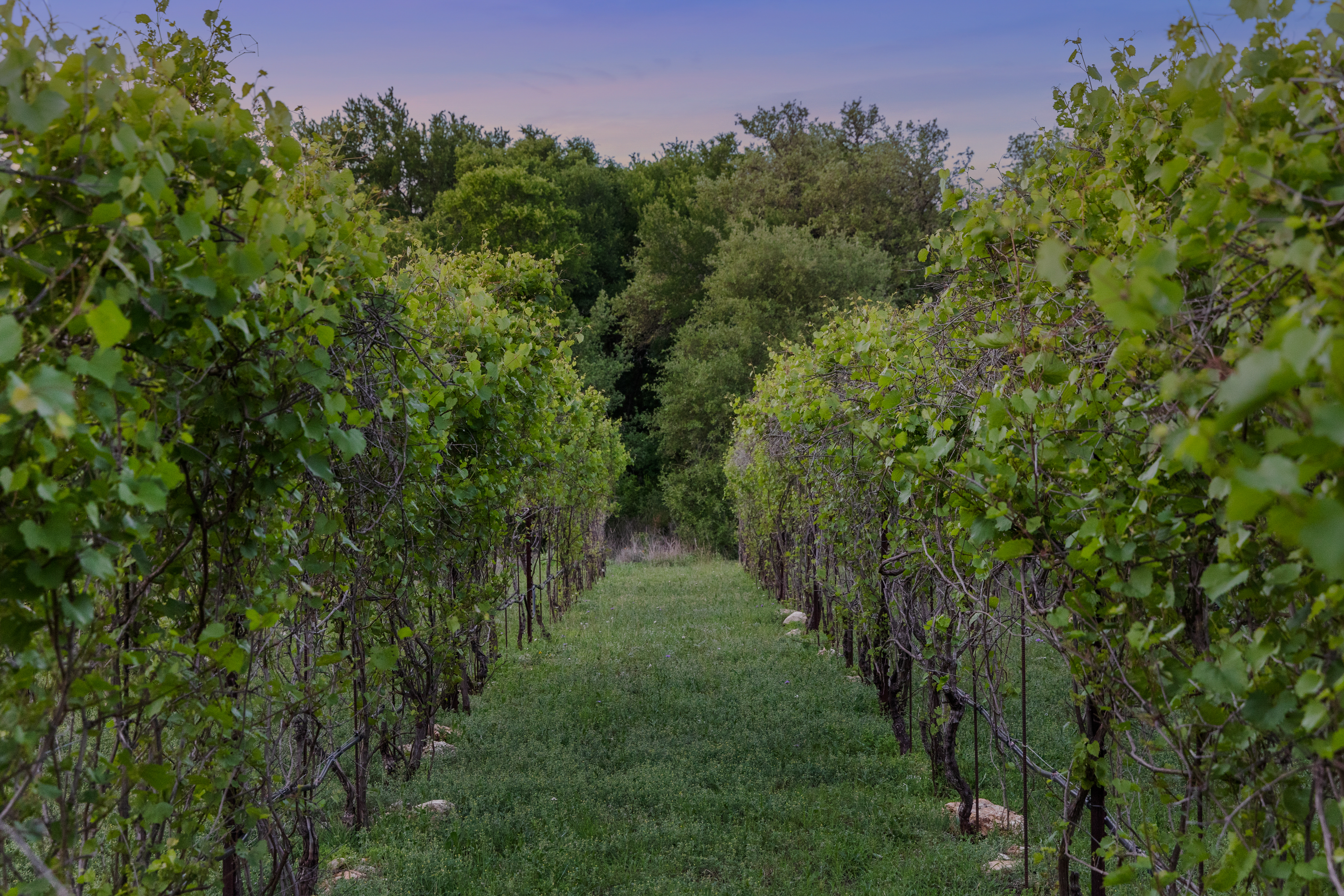 18059 Farm to Market Road 1826 