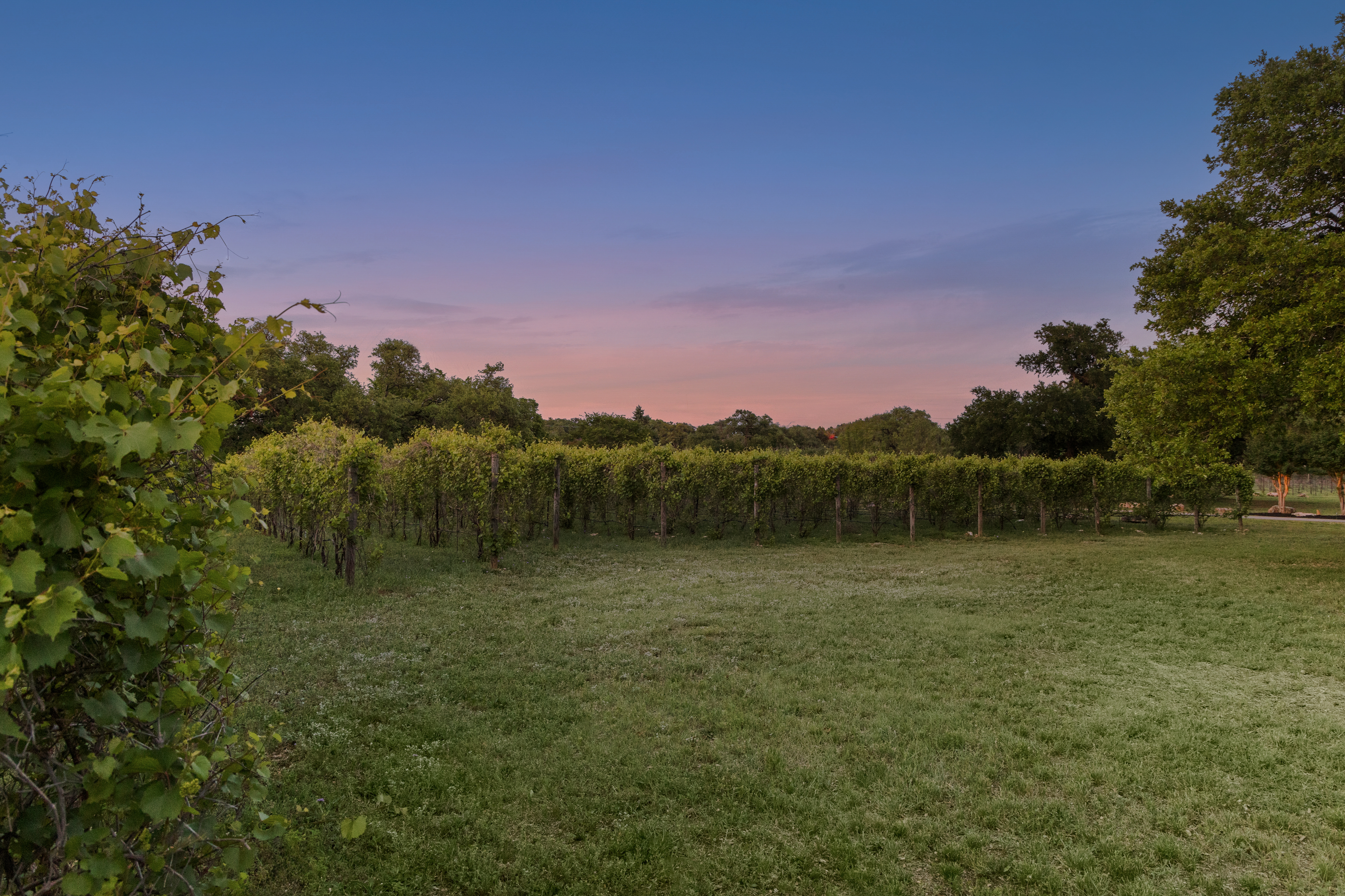 18059 Farm to Market Road 1826 