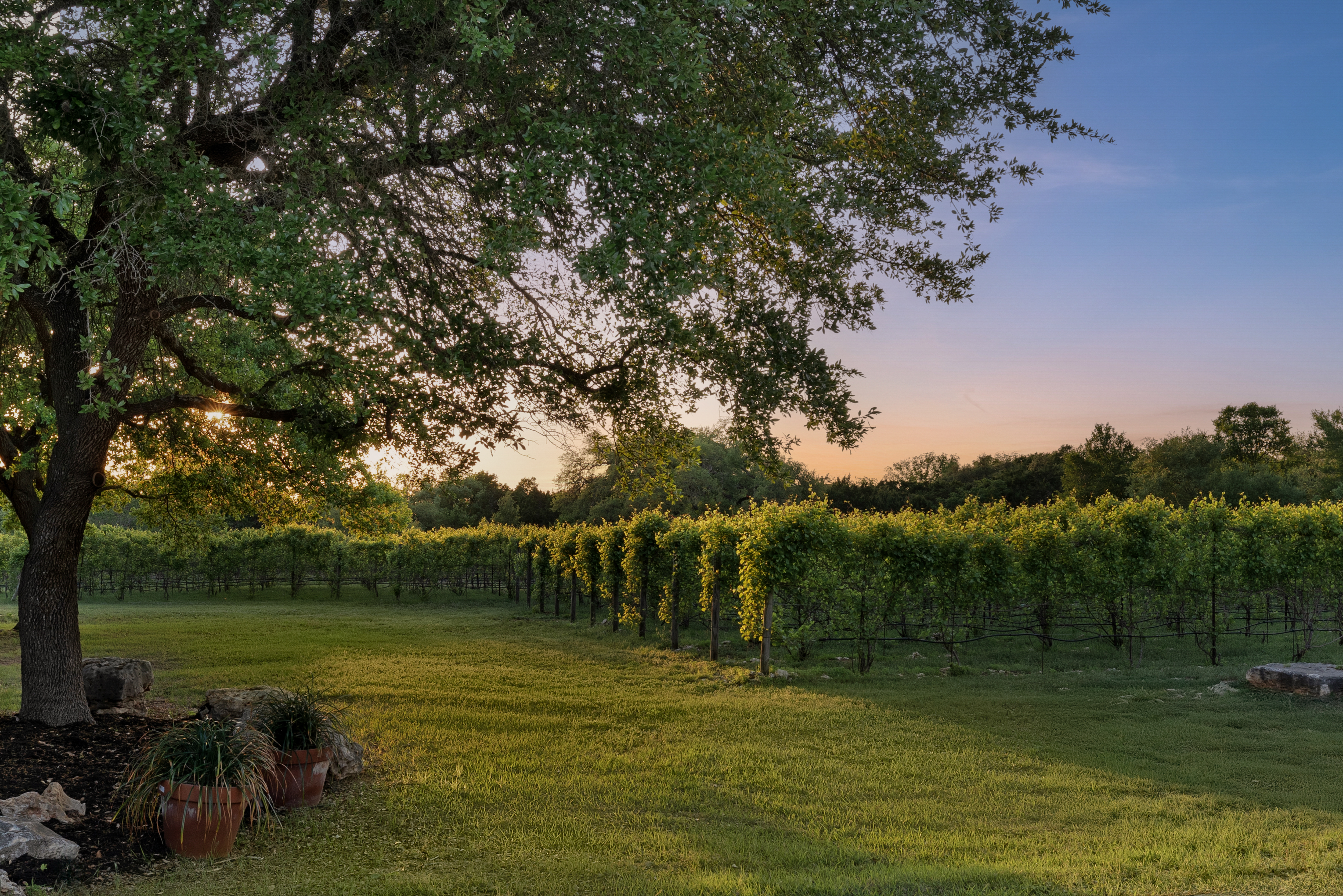 18059 Farm to Market Road 1826 