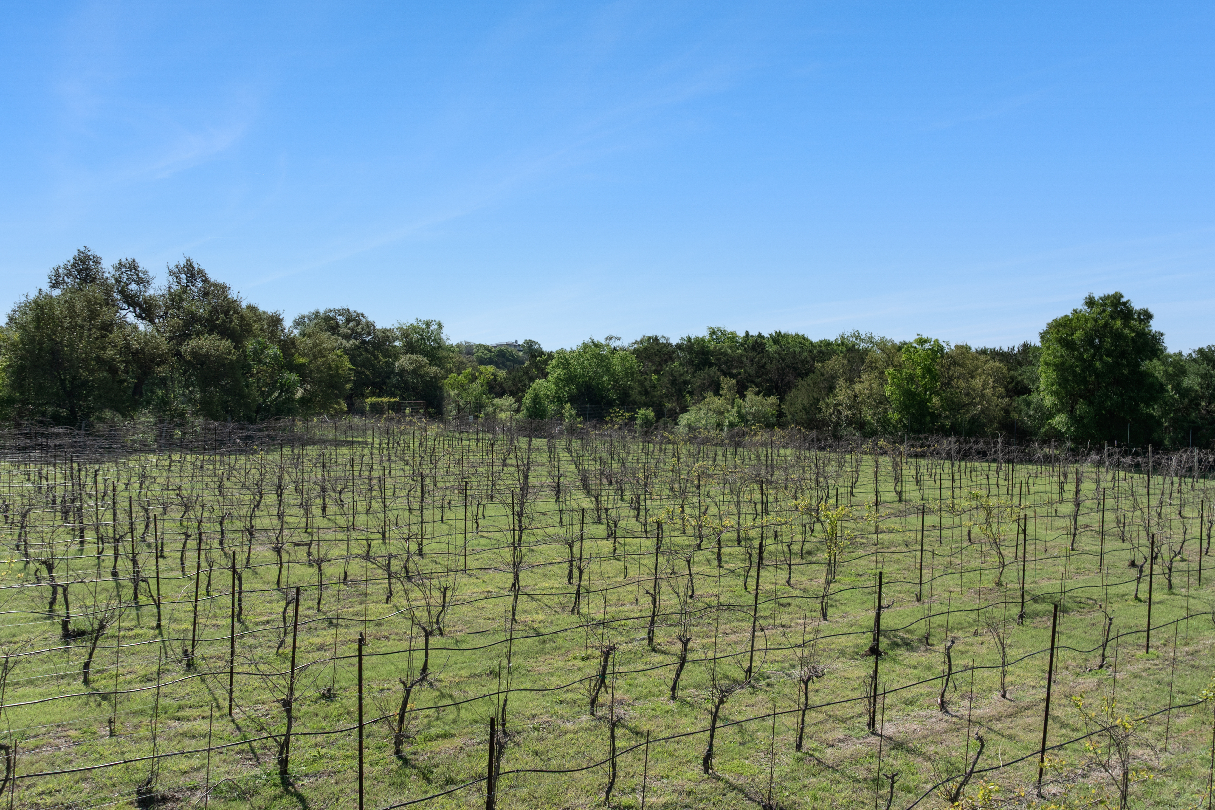 18059 Farm to Market Road 1826 