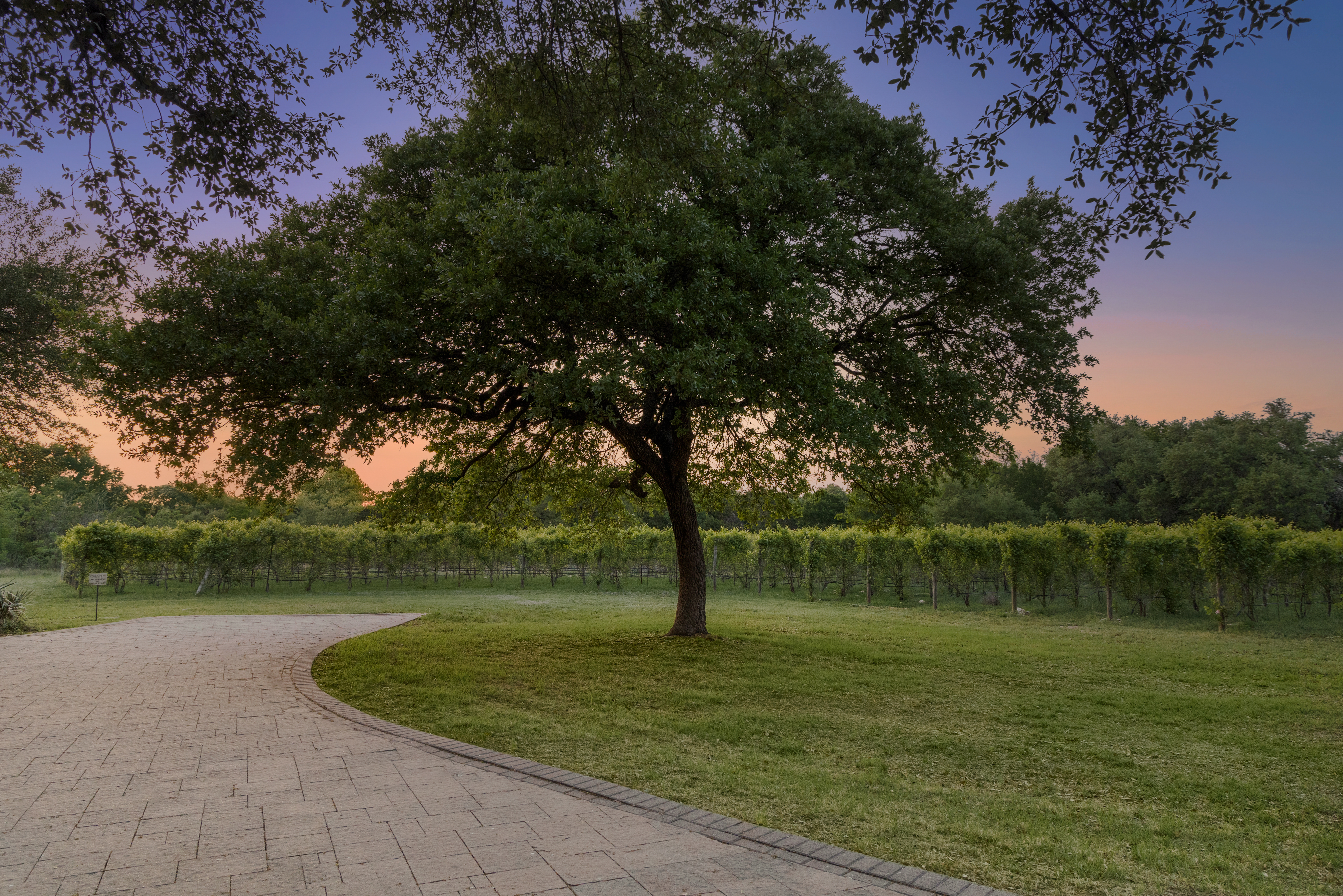 18059 Farm to Market Road 1826 