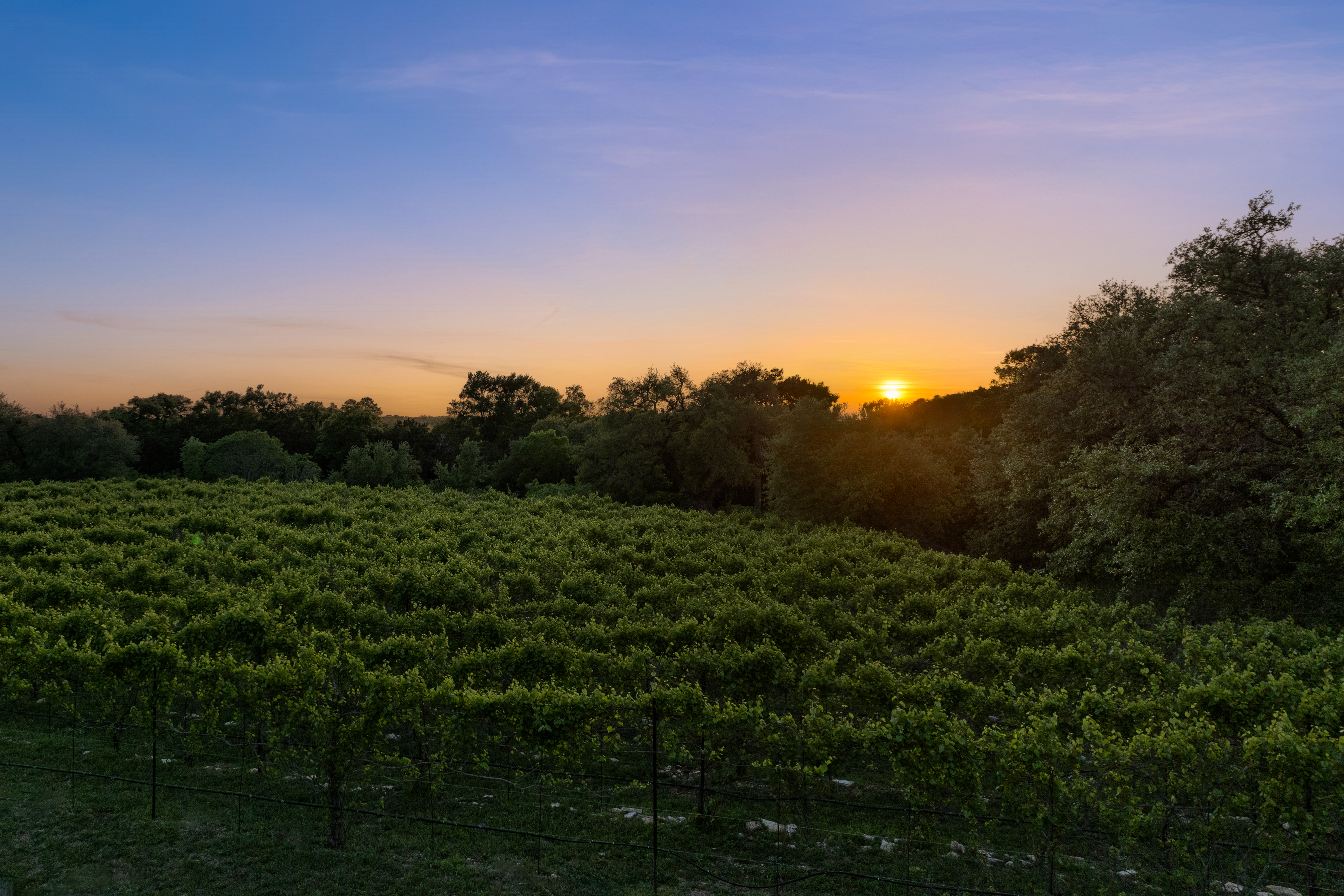 18059 Farm to Market Road 1826 