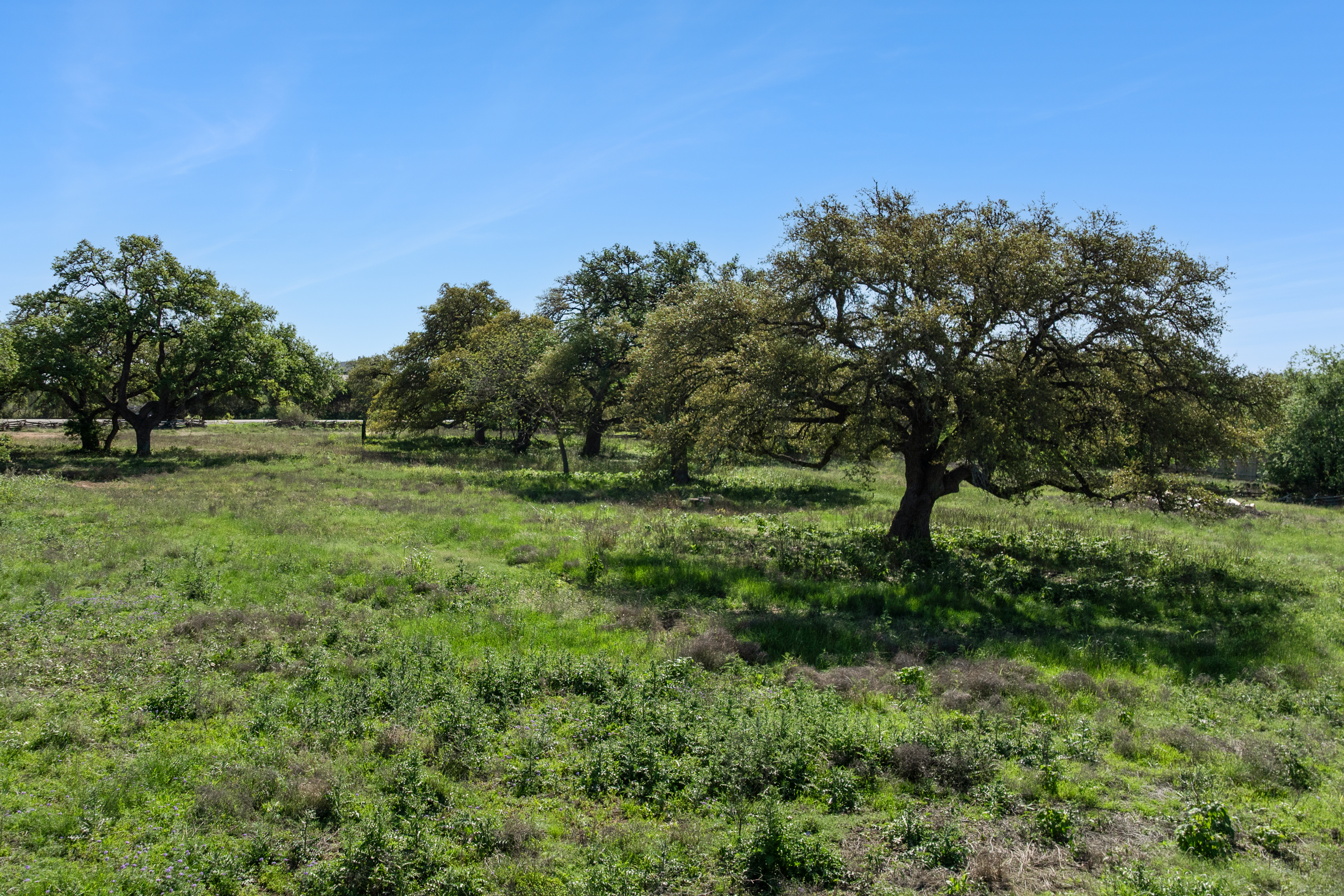 18059 Farm to Market Road 1826 
