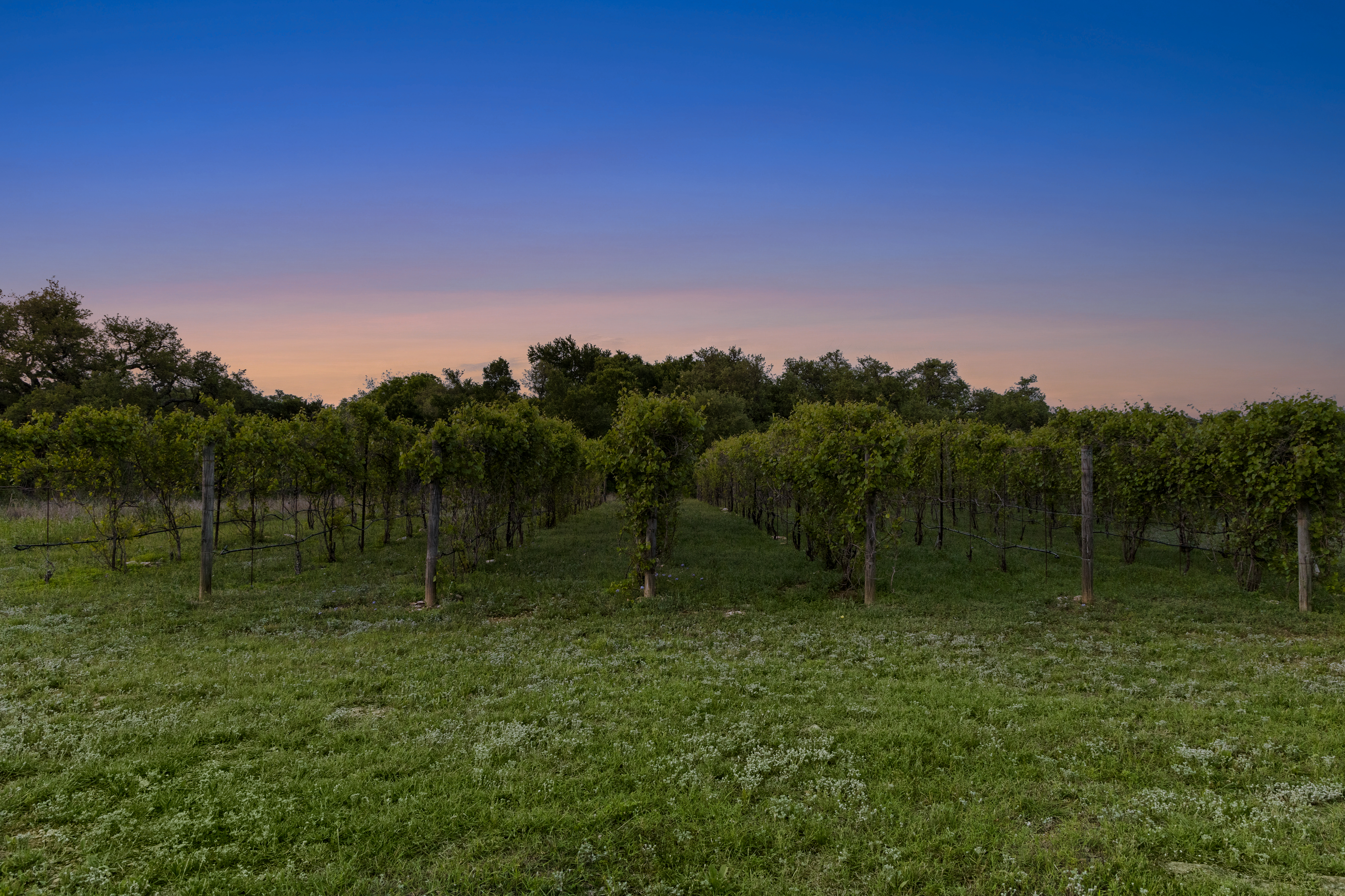 18059 Farm to Market Road 1826 