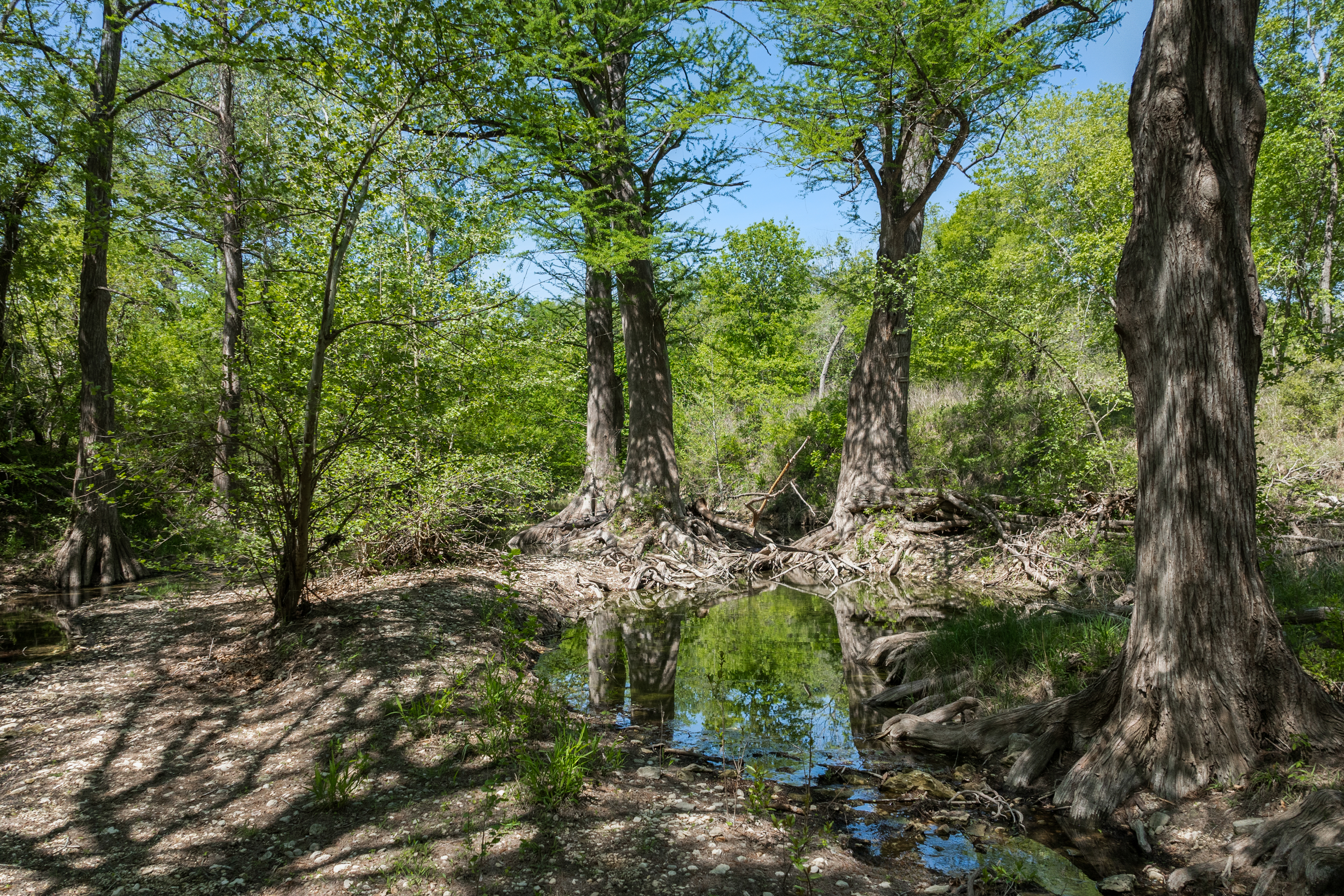 18059 Farm to Market Road 1826 