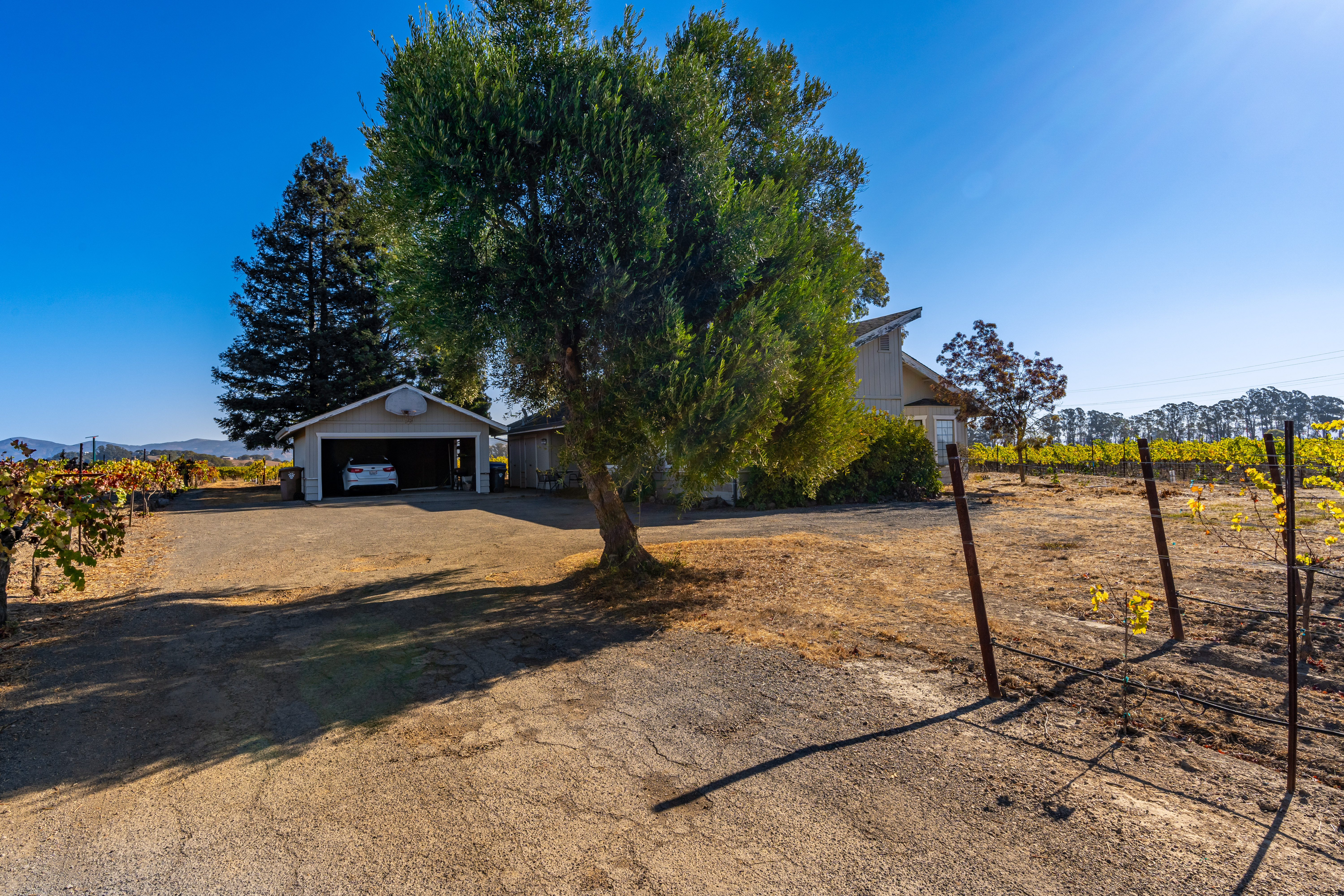Napa