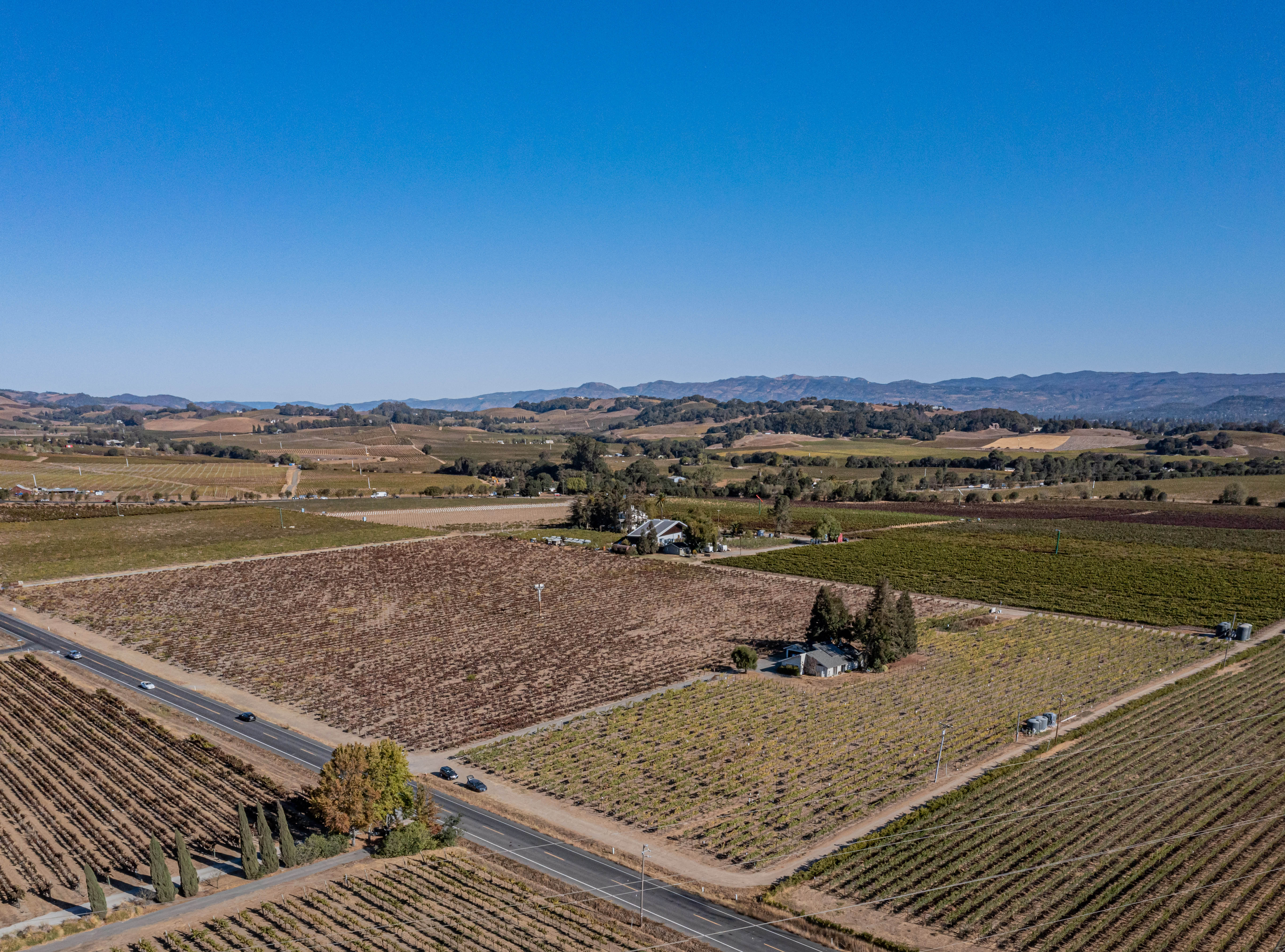 Napa