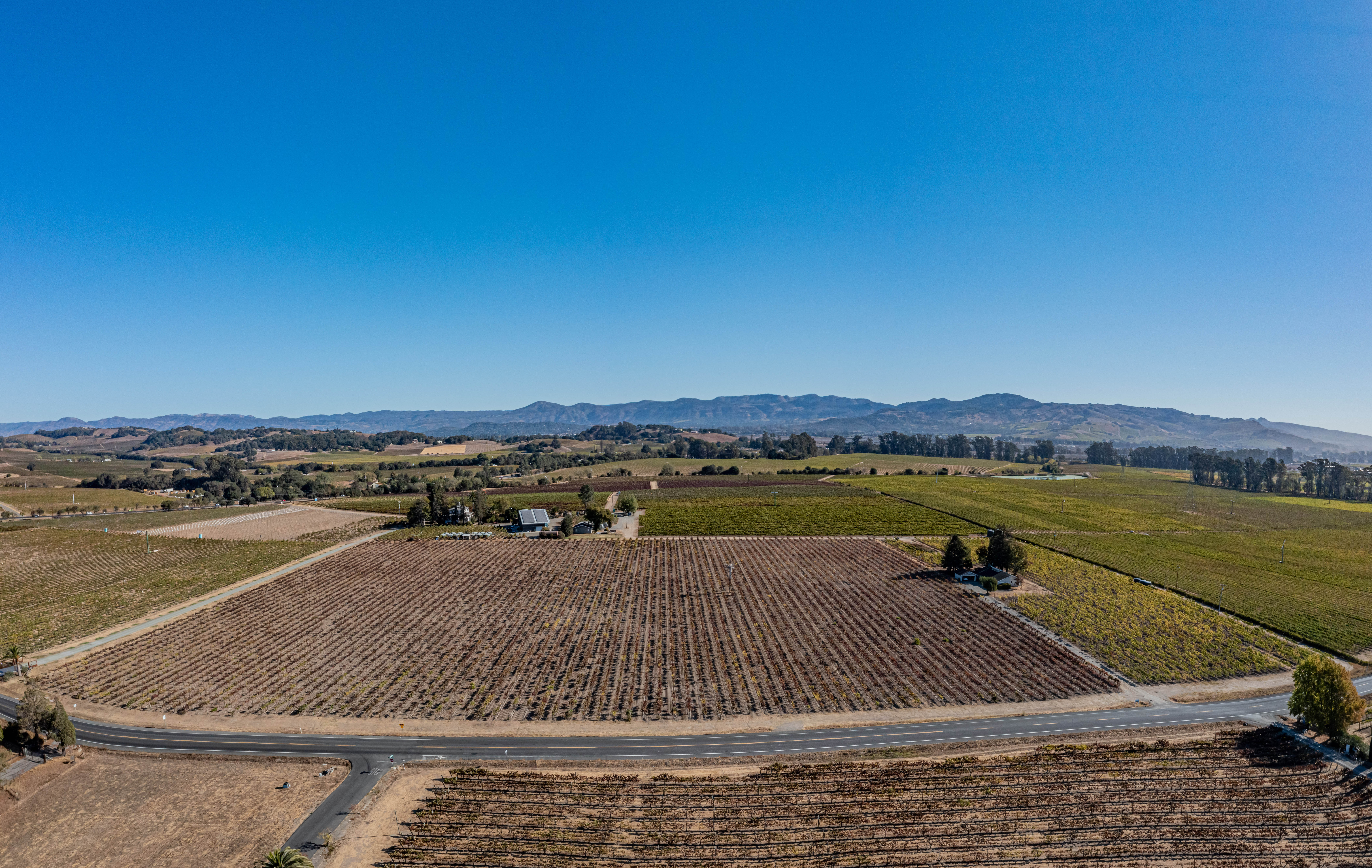 Napa