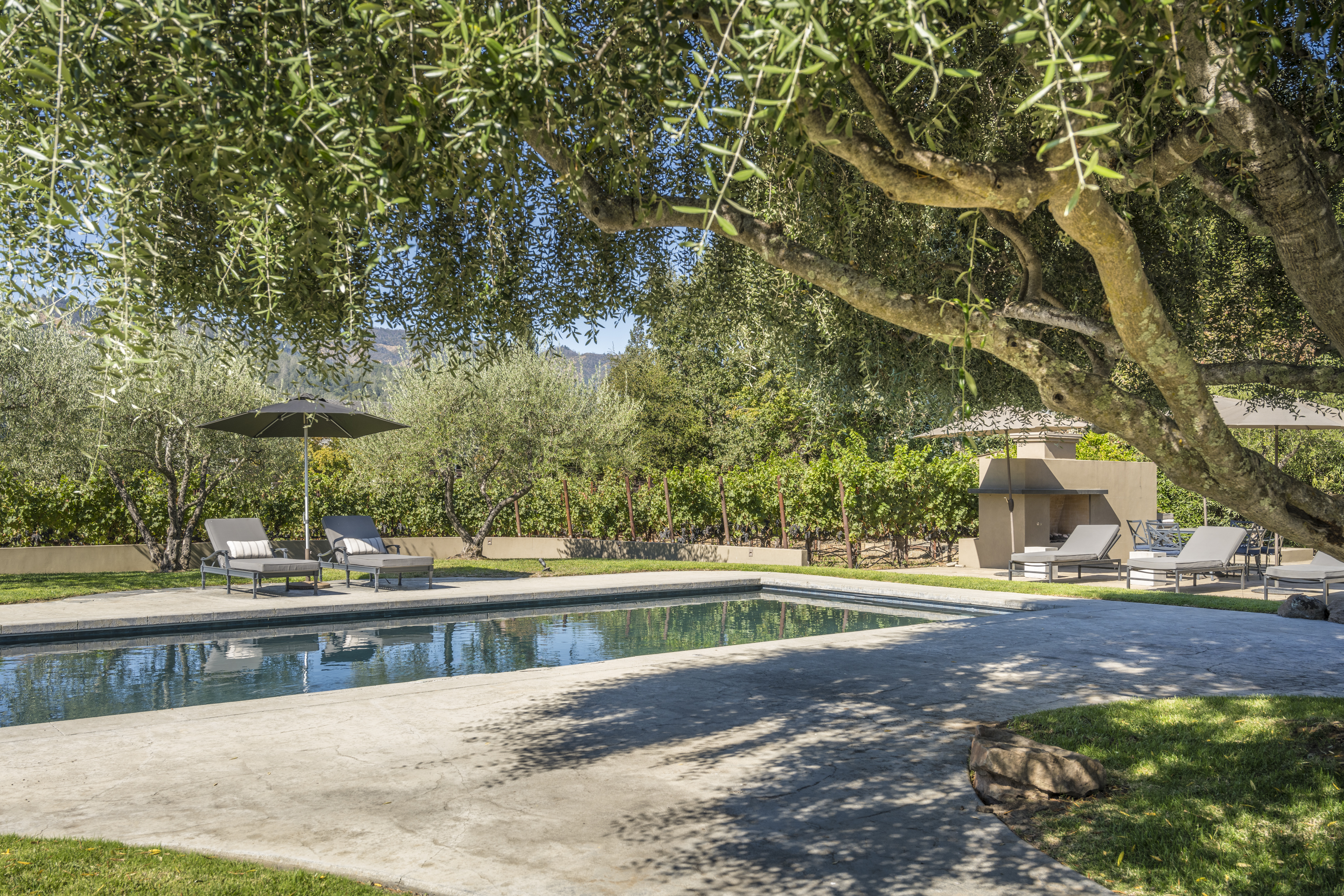 1321 Davis Lane