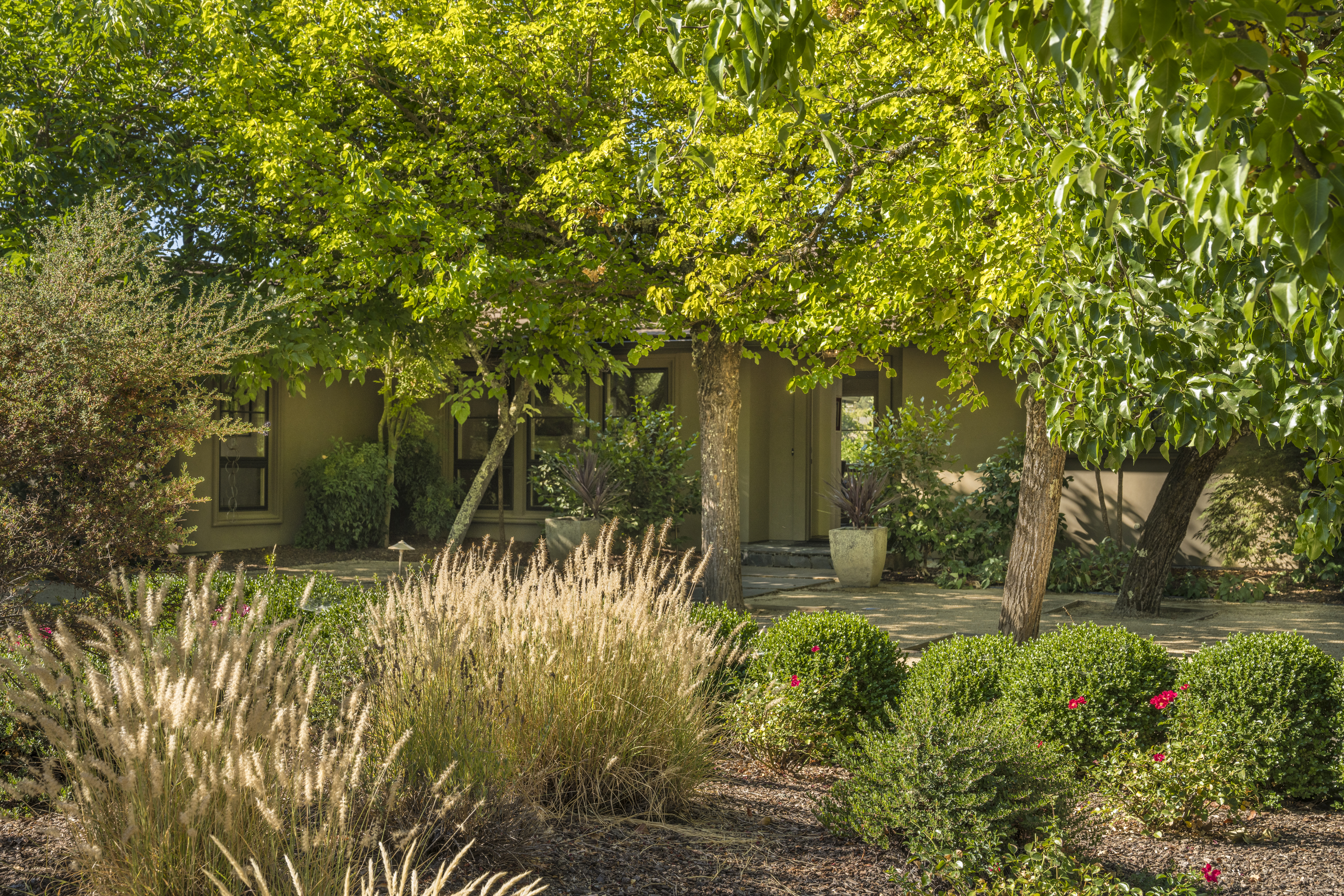 1321 Davis Lane