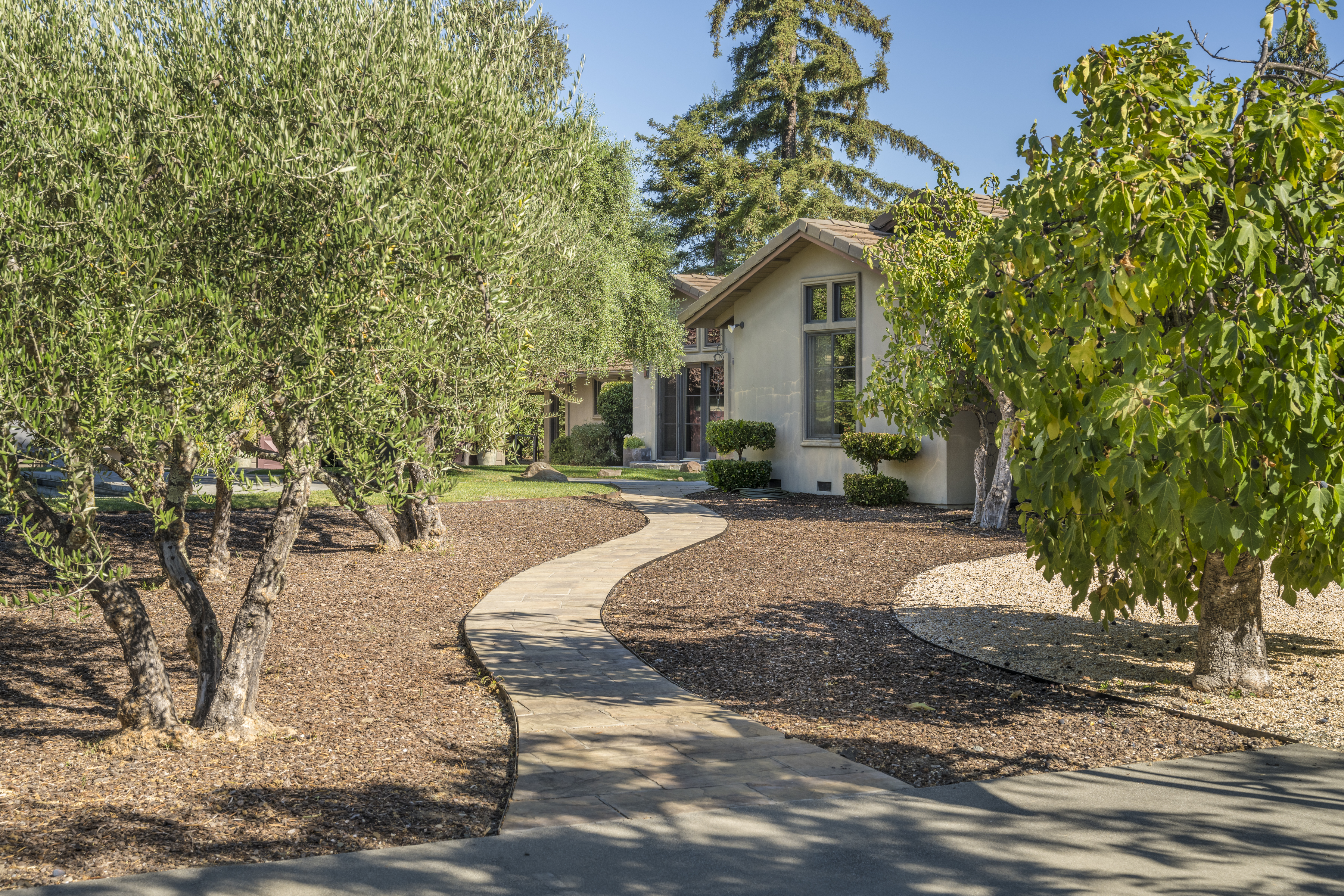 1321 Davis Lane
