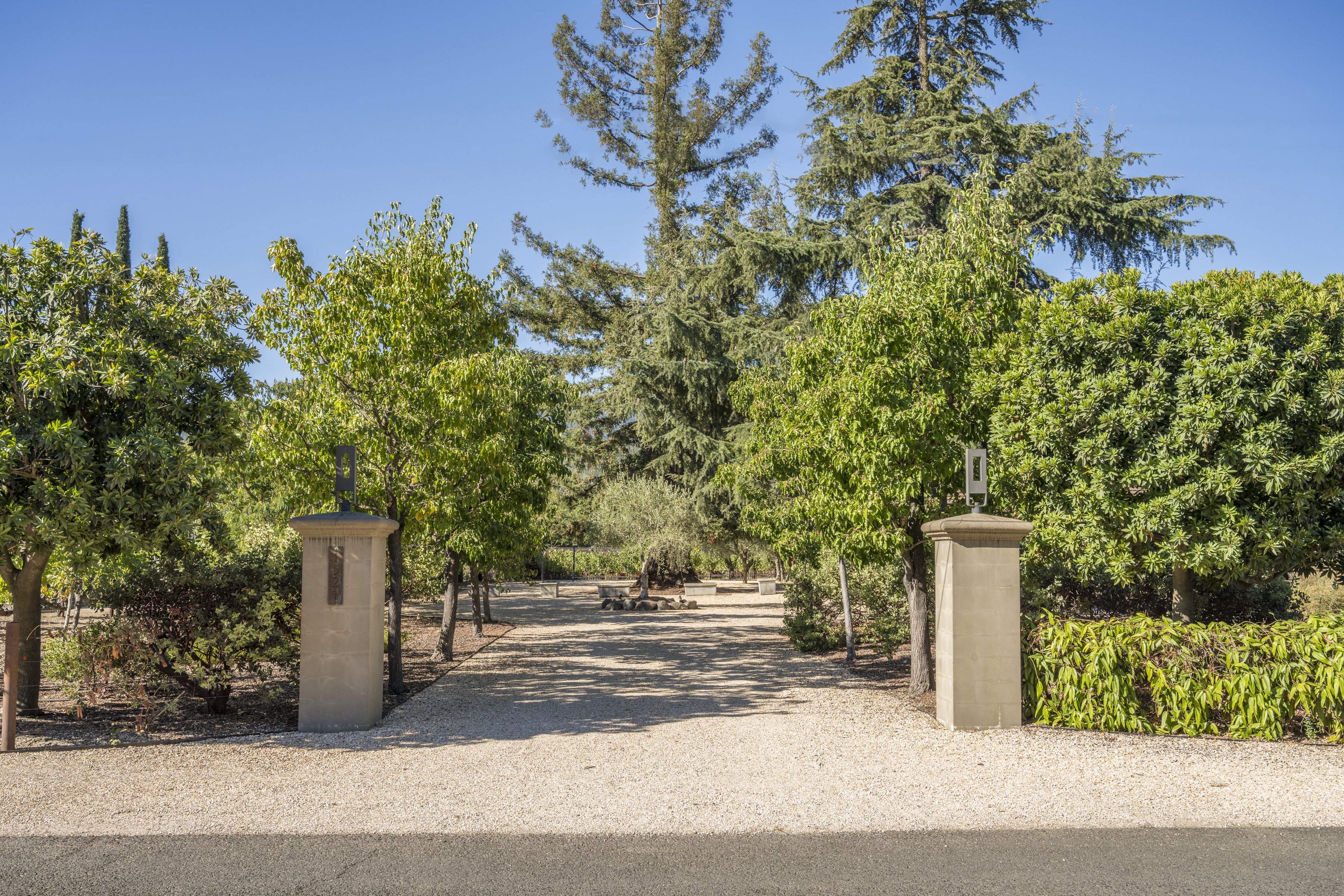 1321 Davis Lane