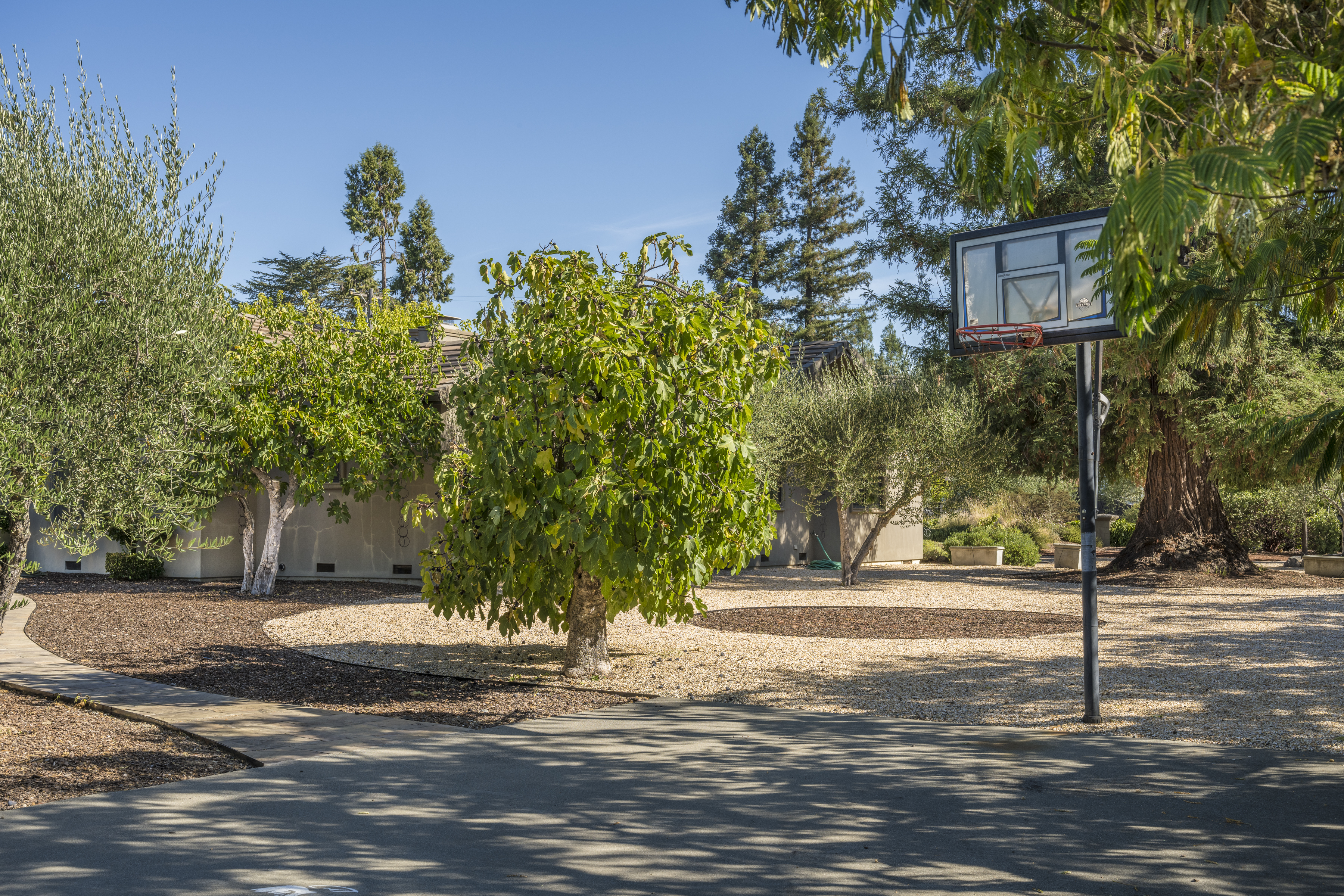 1321 Davis Lane