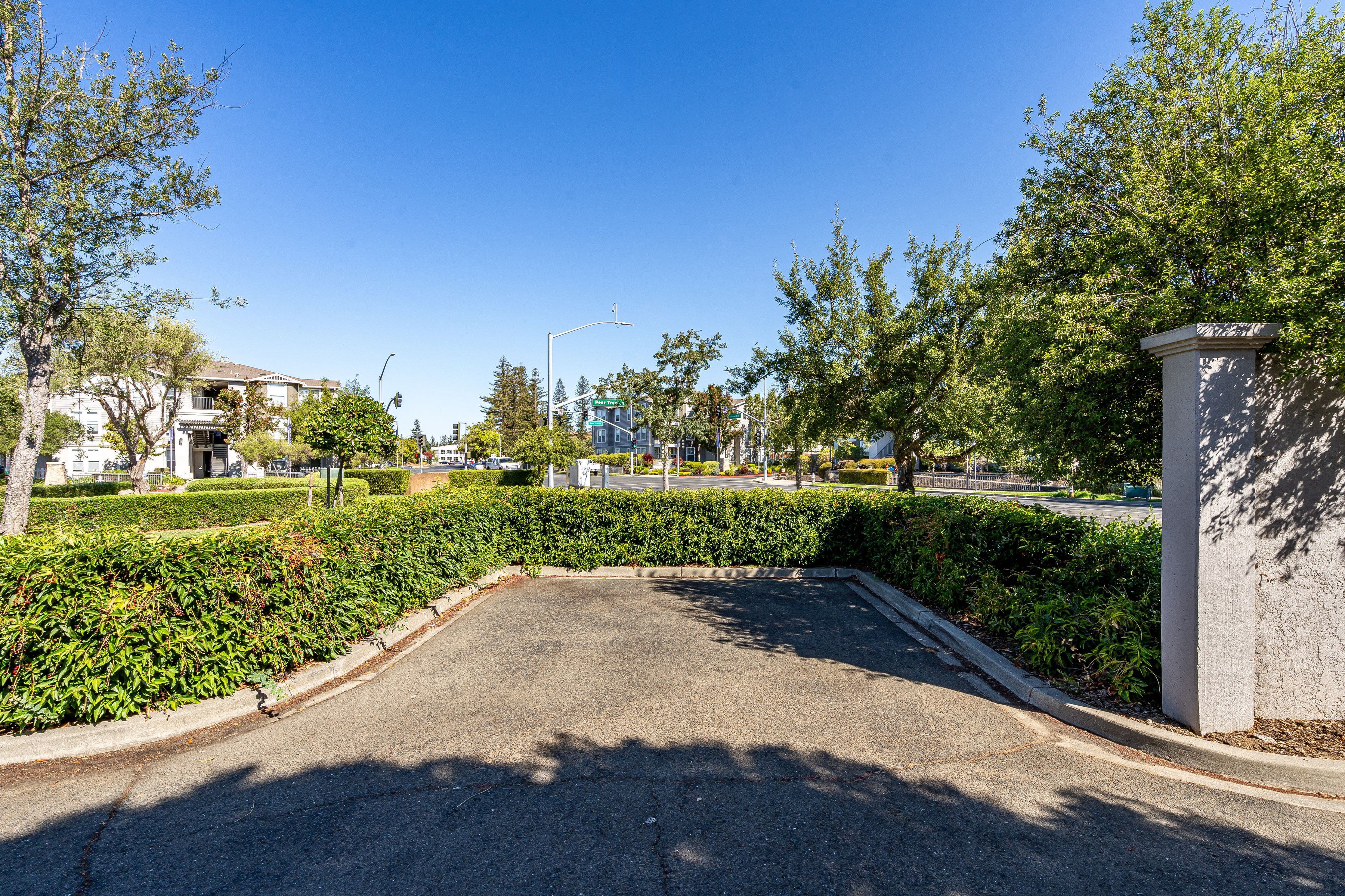 1687 Pear Tree Lane