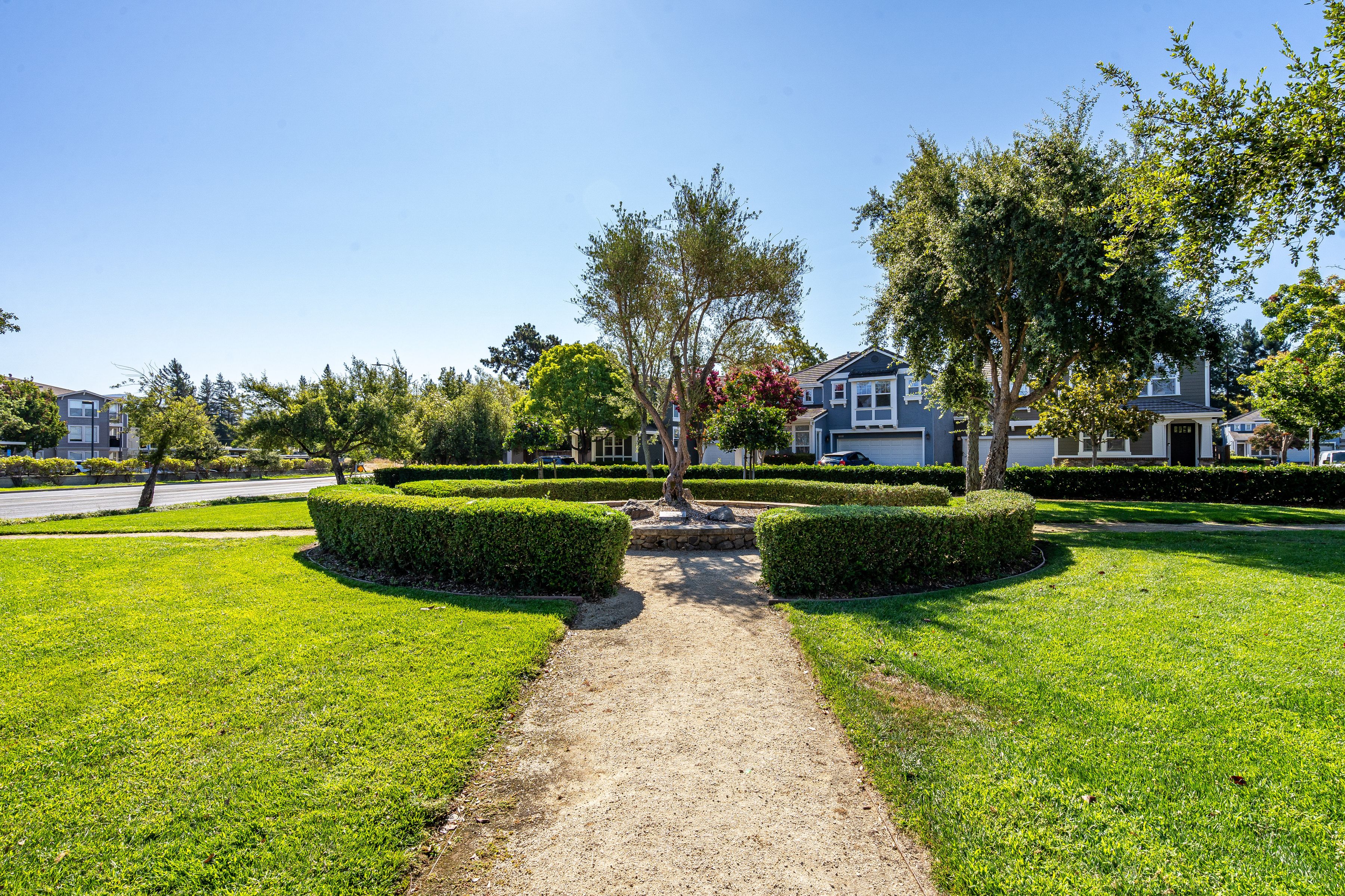 1687 Pear Tree Lane