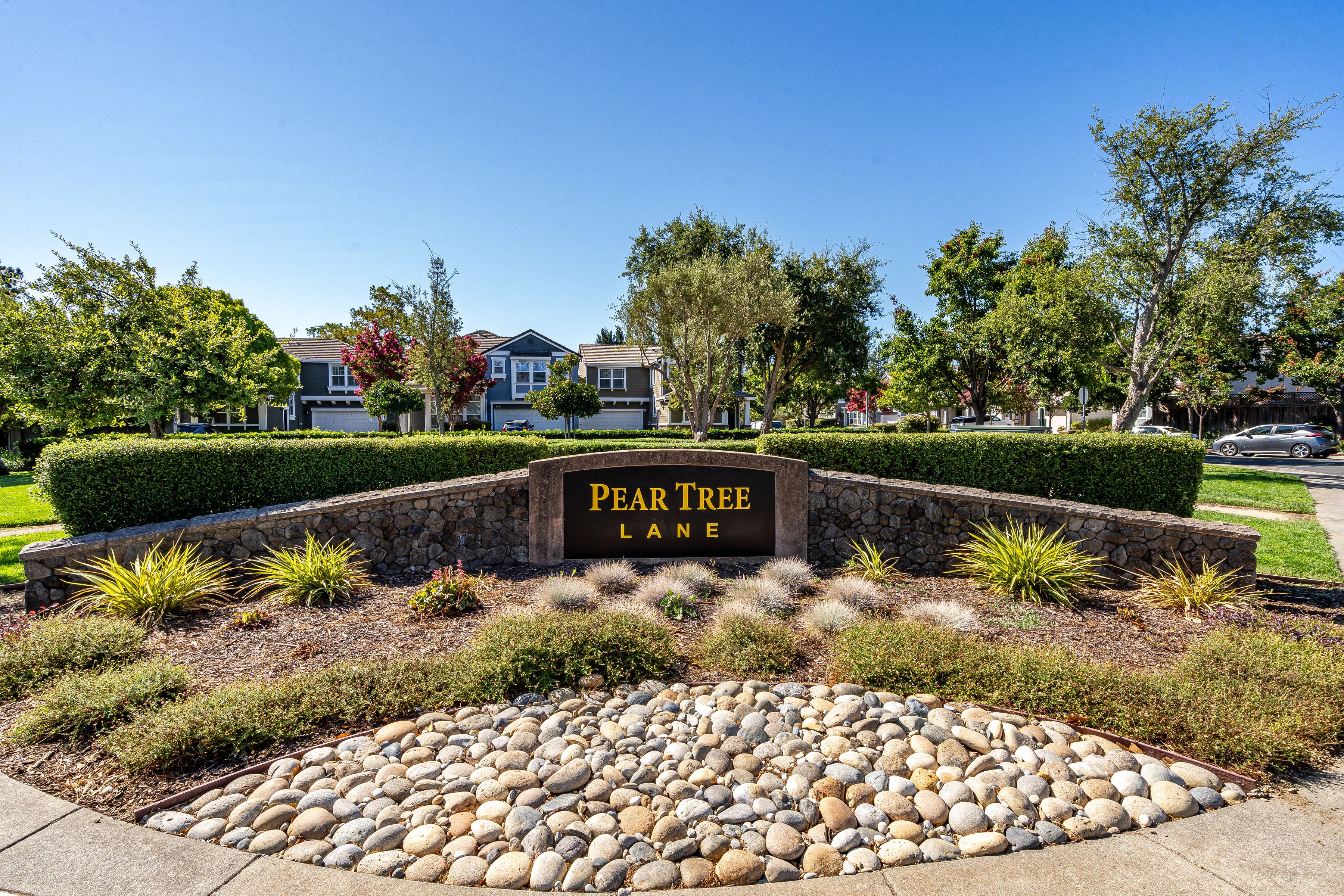 1687 Pear Tree Lane