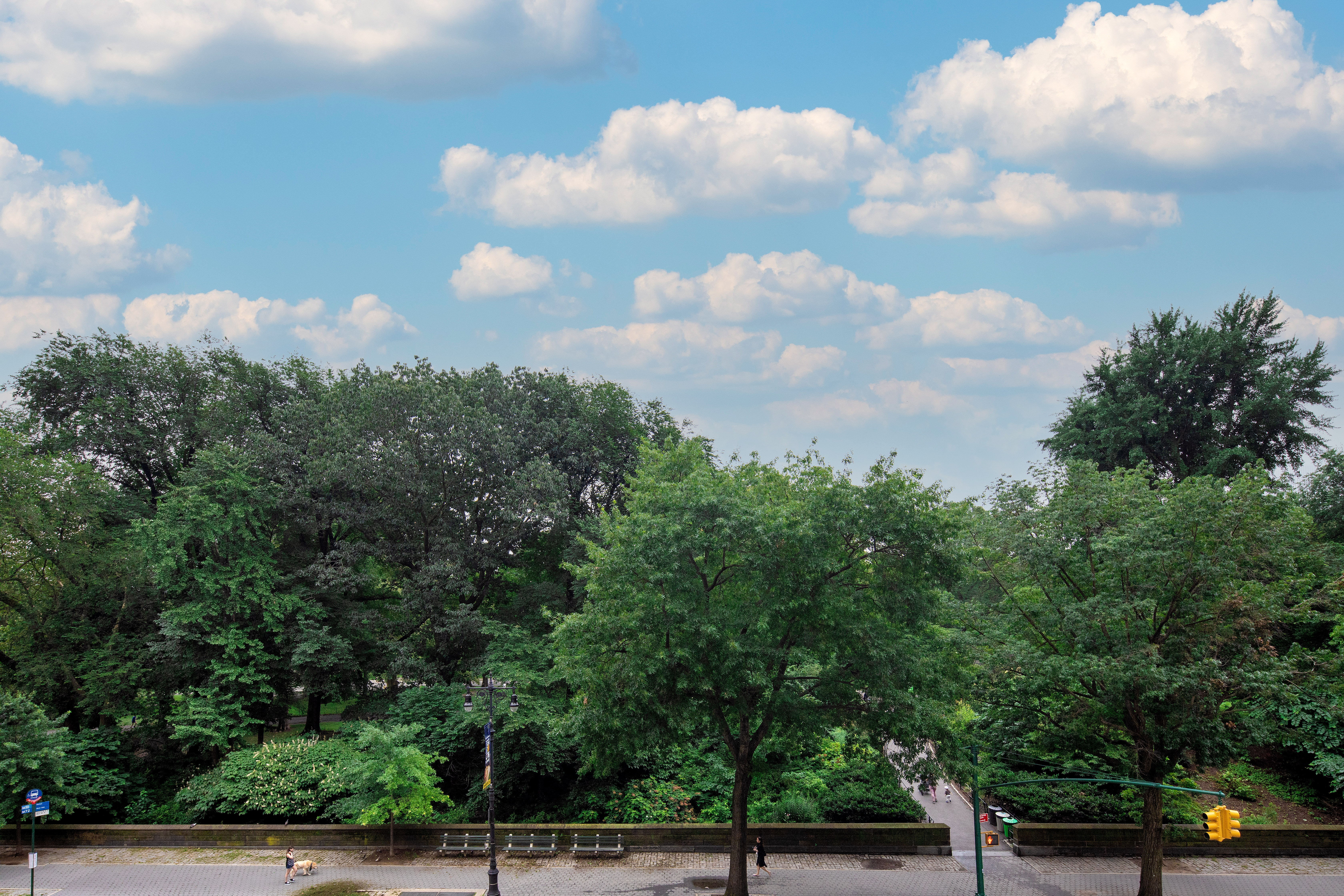 91 Central Park West 4A