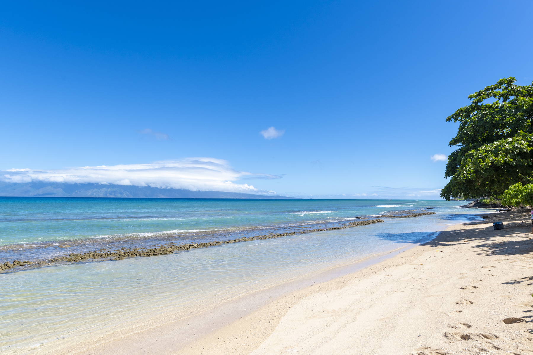 Hale Kai 3695 Lower Honoapiilani Rd, #102
