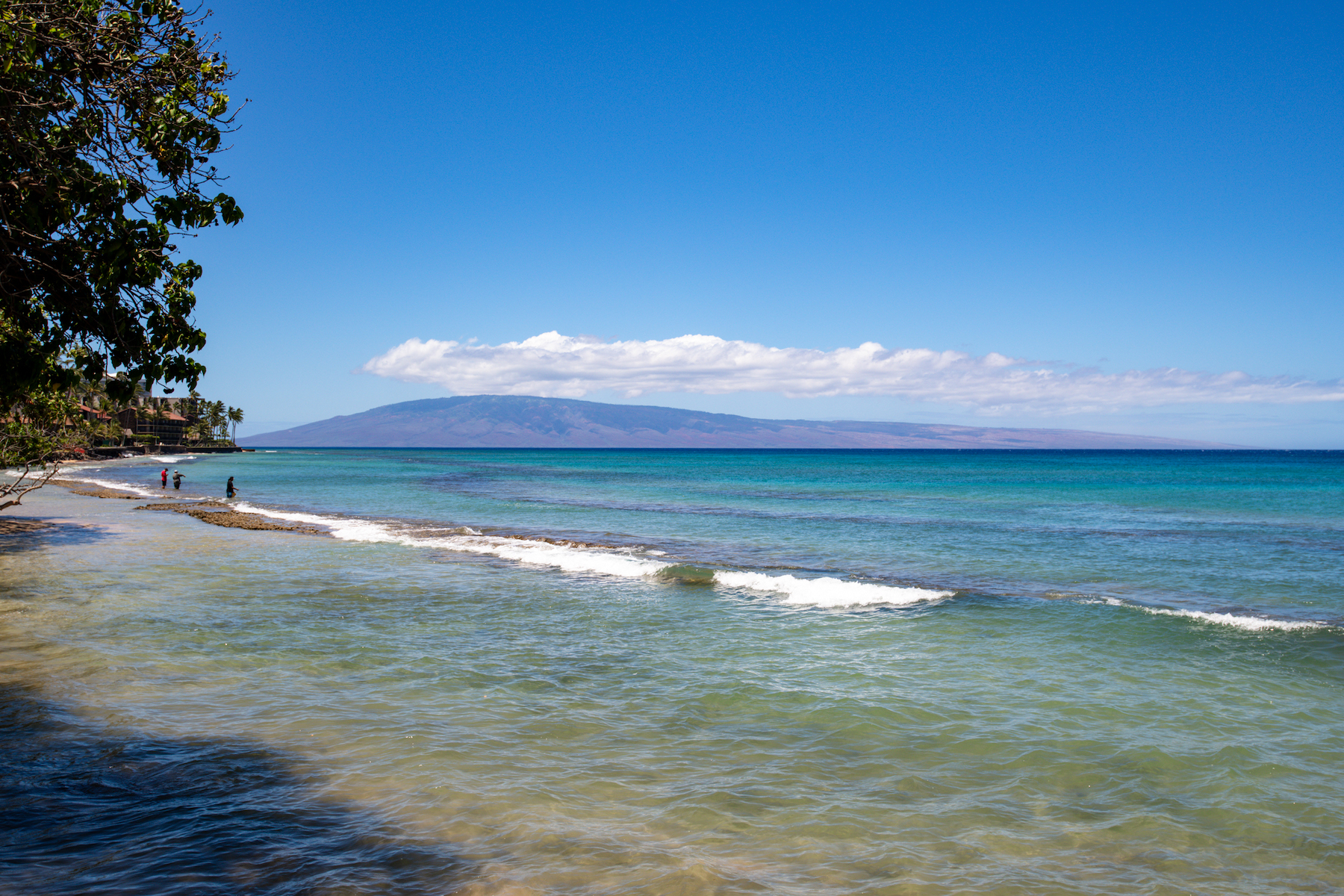 Hale Kai 3695 Lower Honoapiilani Rd, #102