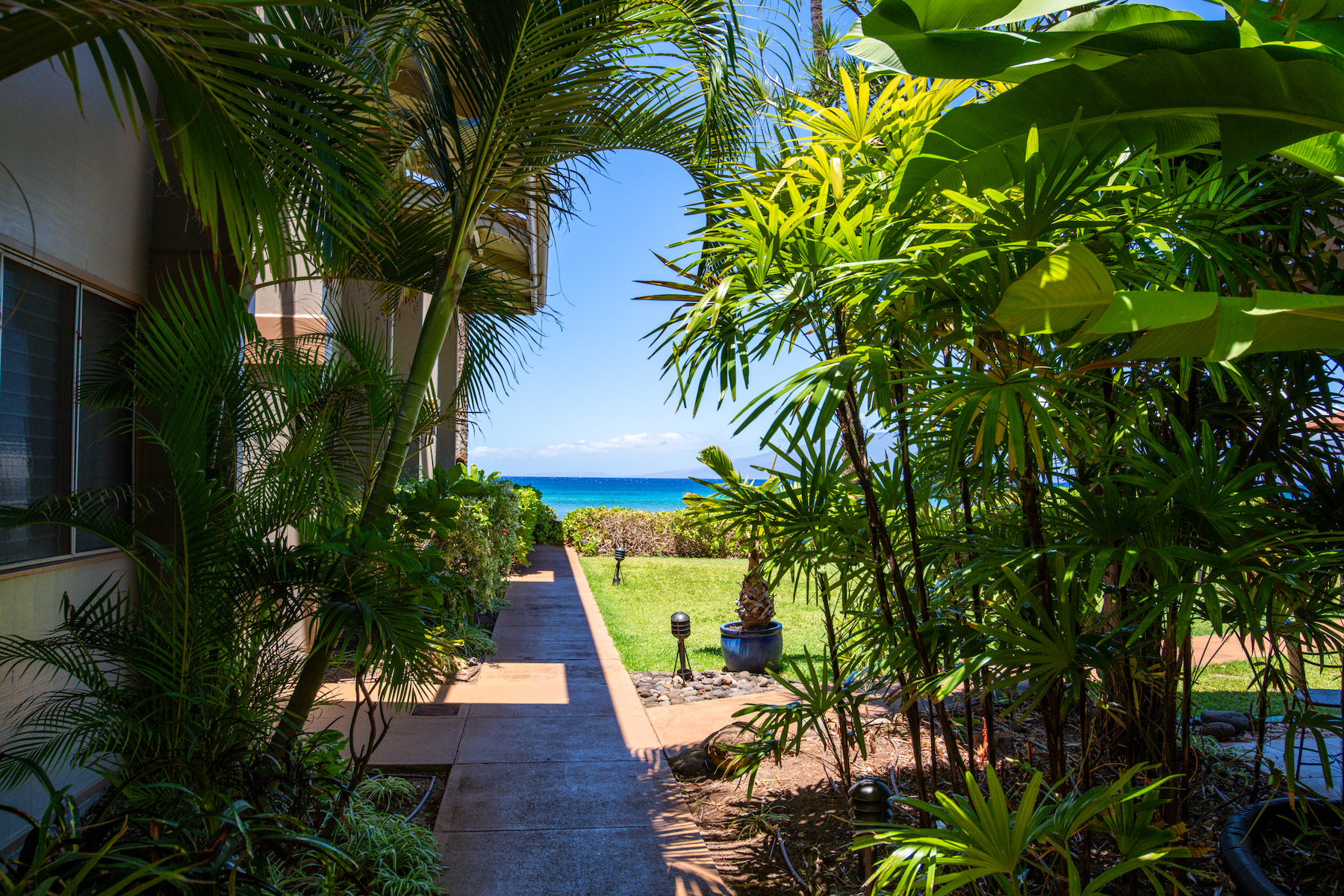 Hale Kai 3695 Lower Honoapiilani Rd, #102
