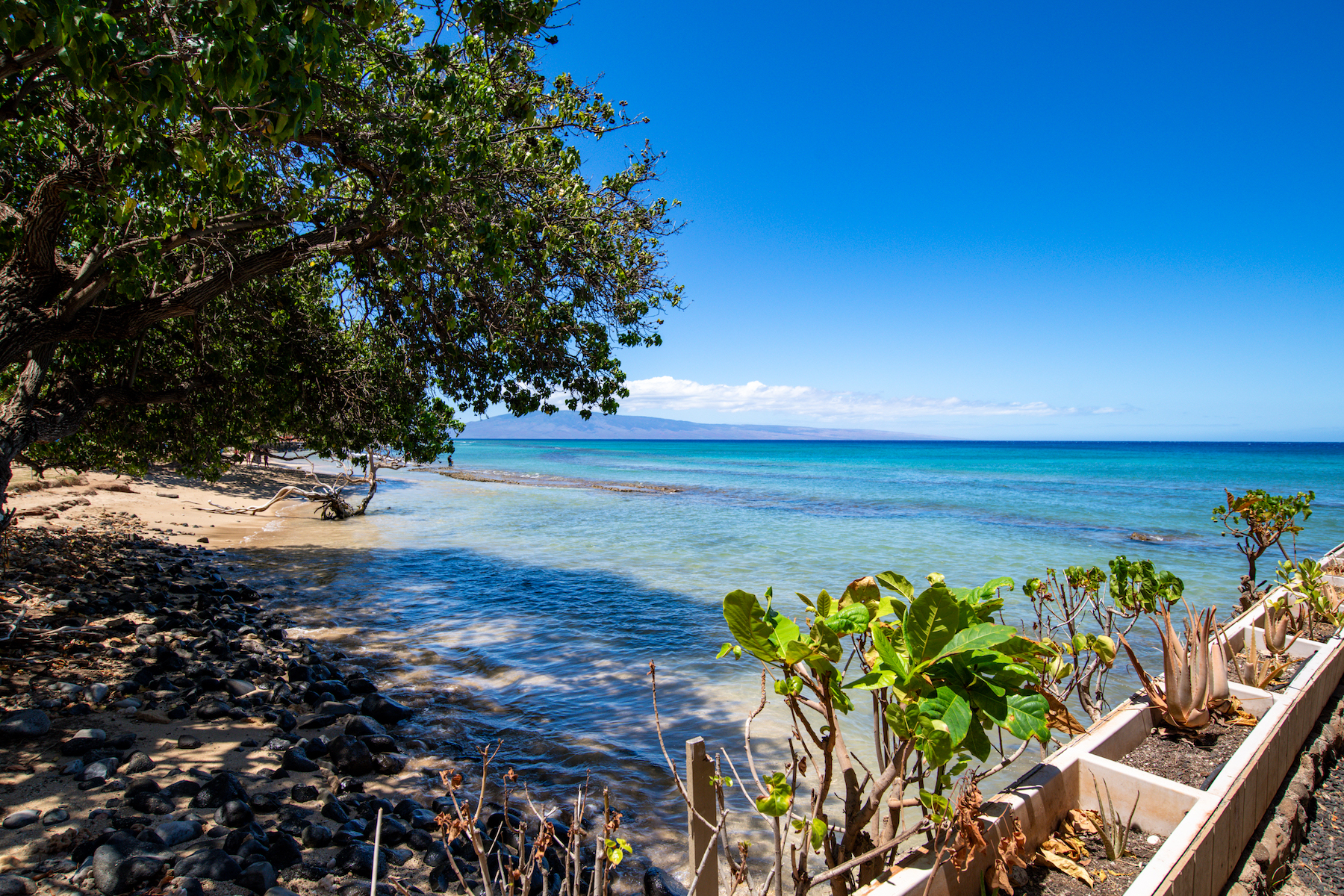 Hale Kai 3695 Lower Honoapiilani Rd, #102