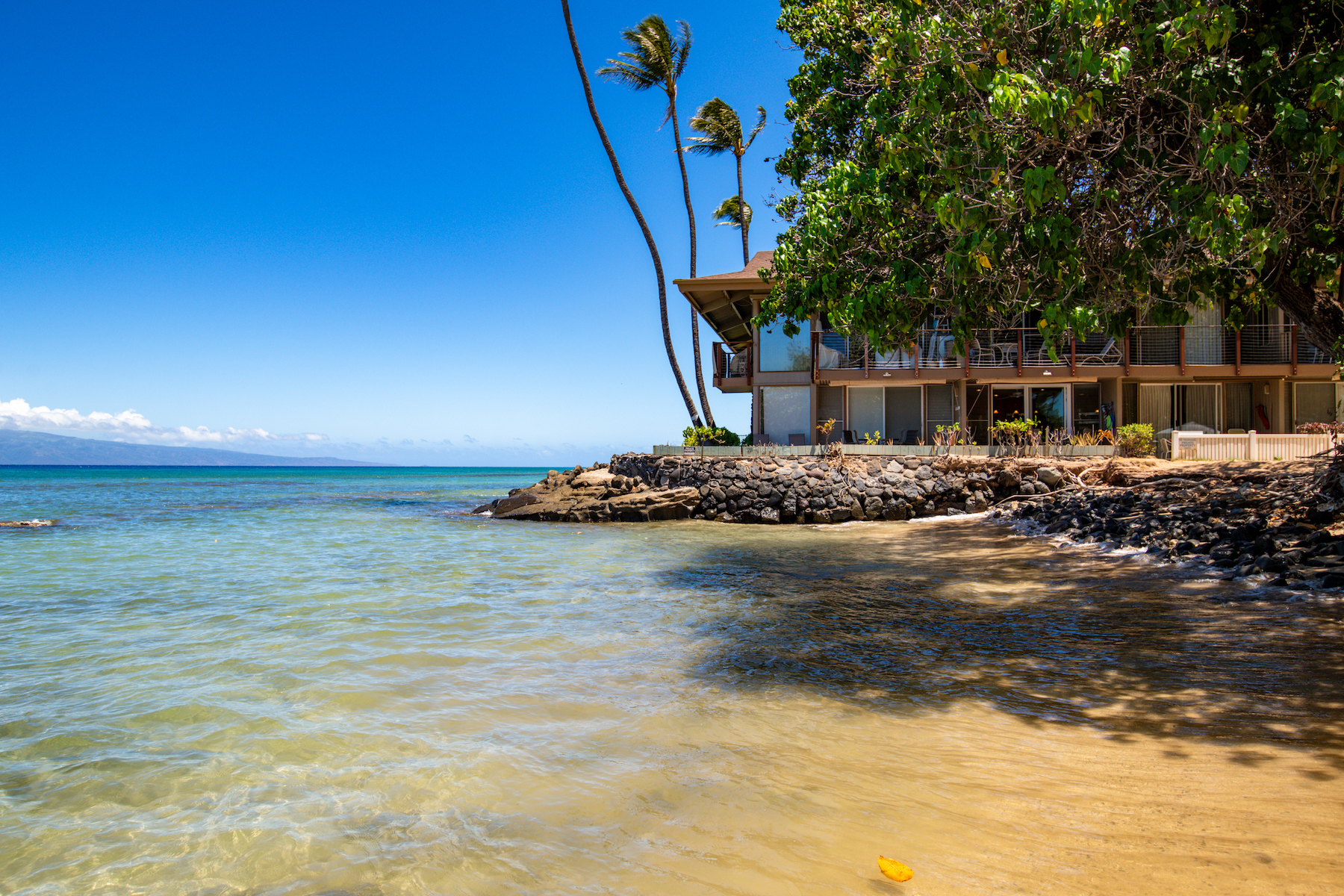 Hale Kai 3695 Lower Honoapiilani Rd, #102