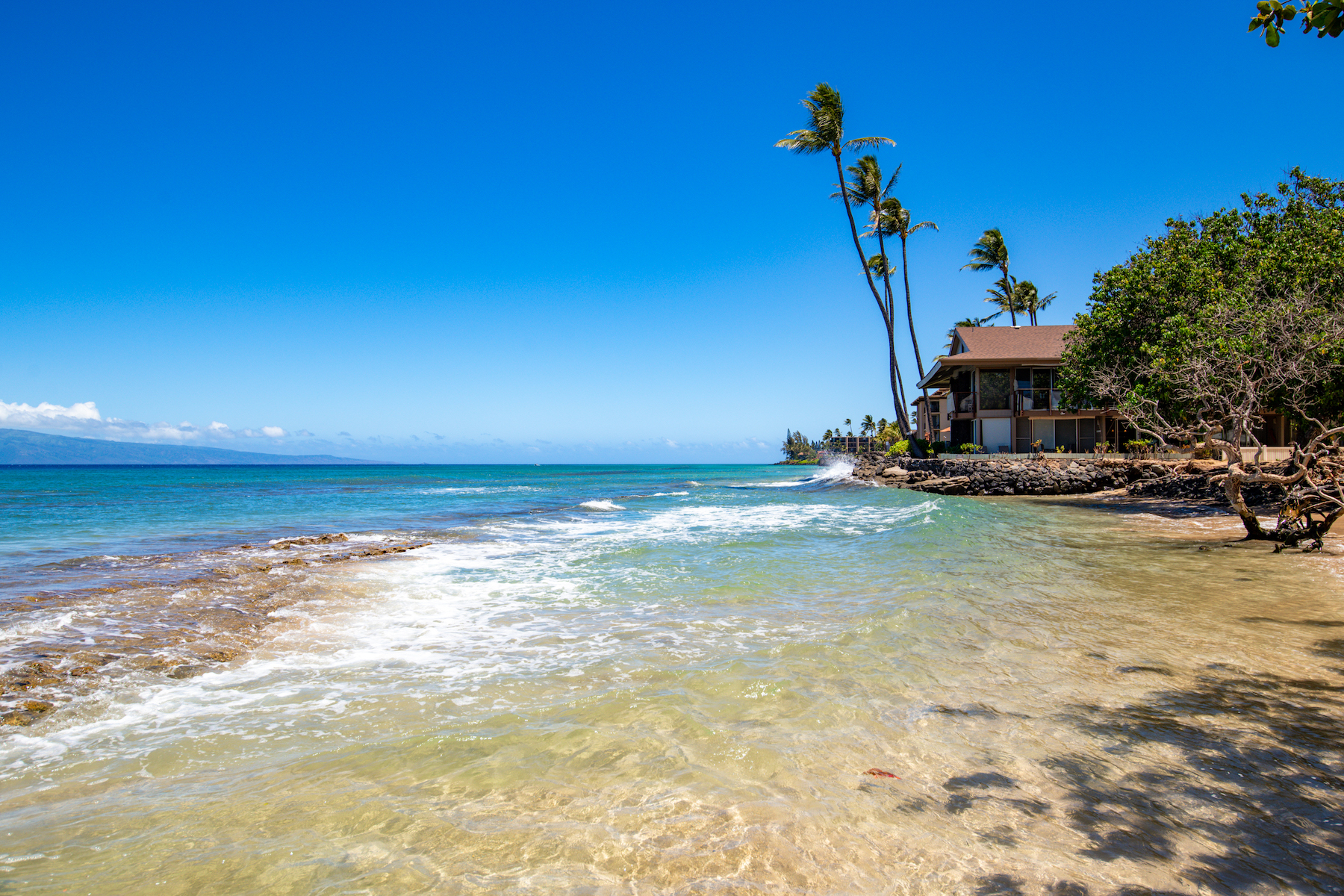 Hale Kai 3695 Lower Honoapiilani Rd, #102