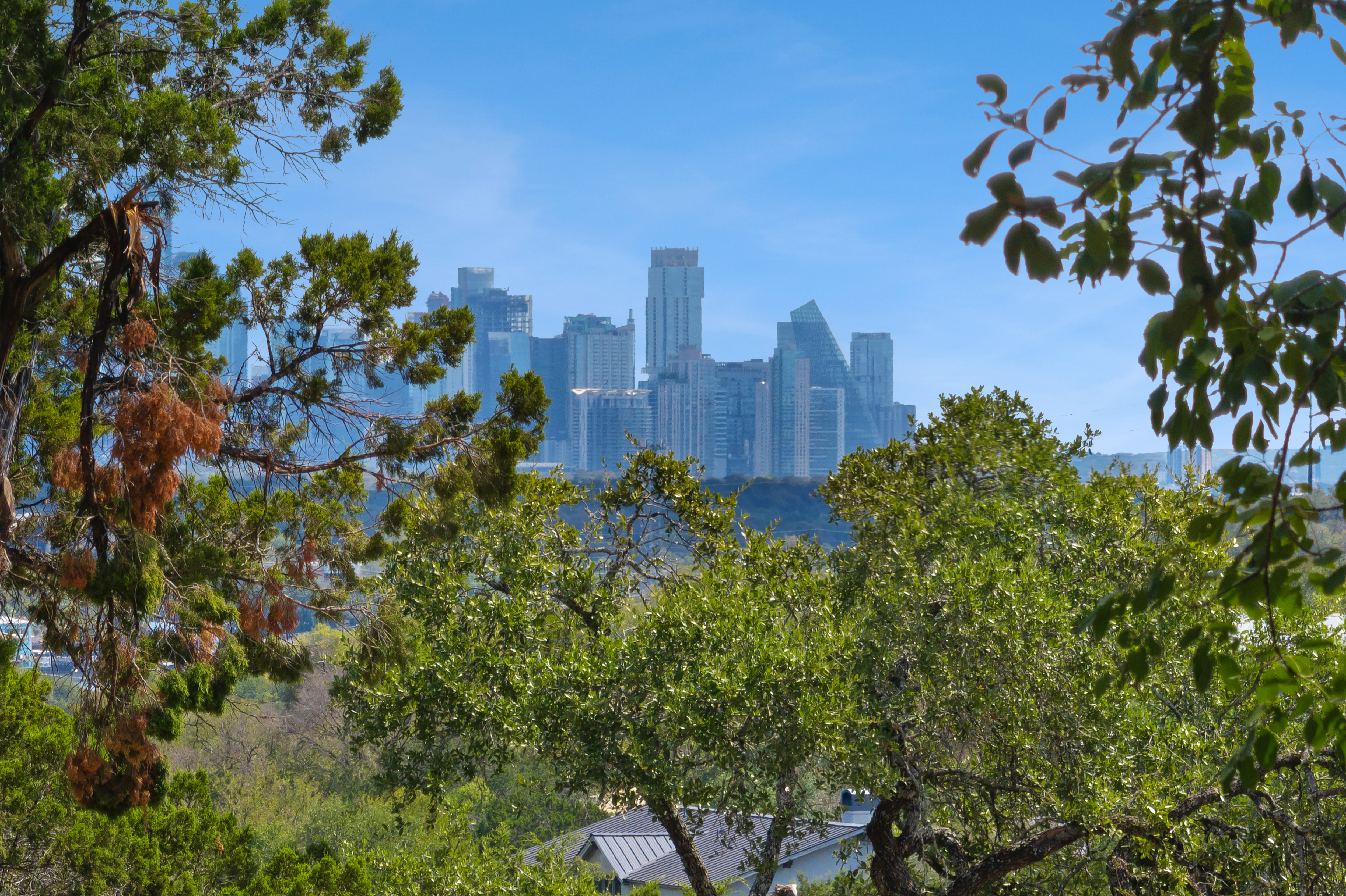 602 Terrace Mountain 
