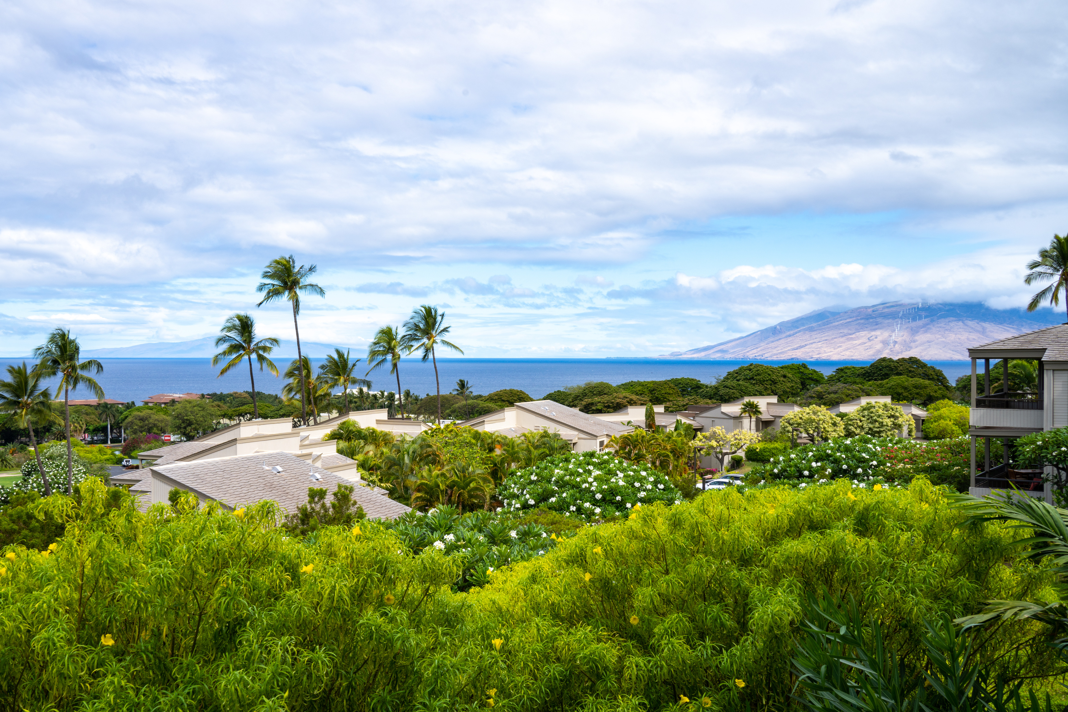 Wailea Ekolu 10 Wailea Ekolu Place #909