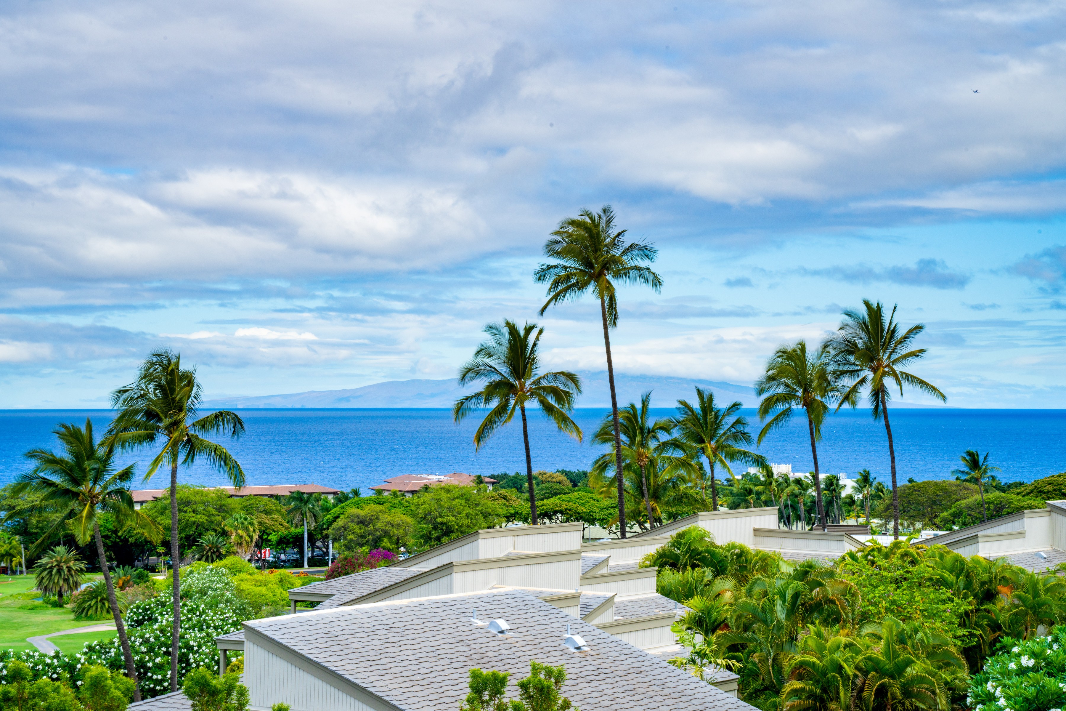 Wailea Ekolu 10 Wailea Ekolu Place #909