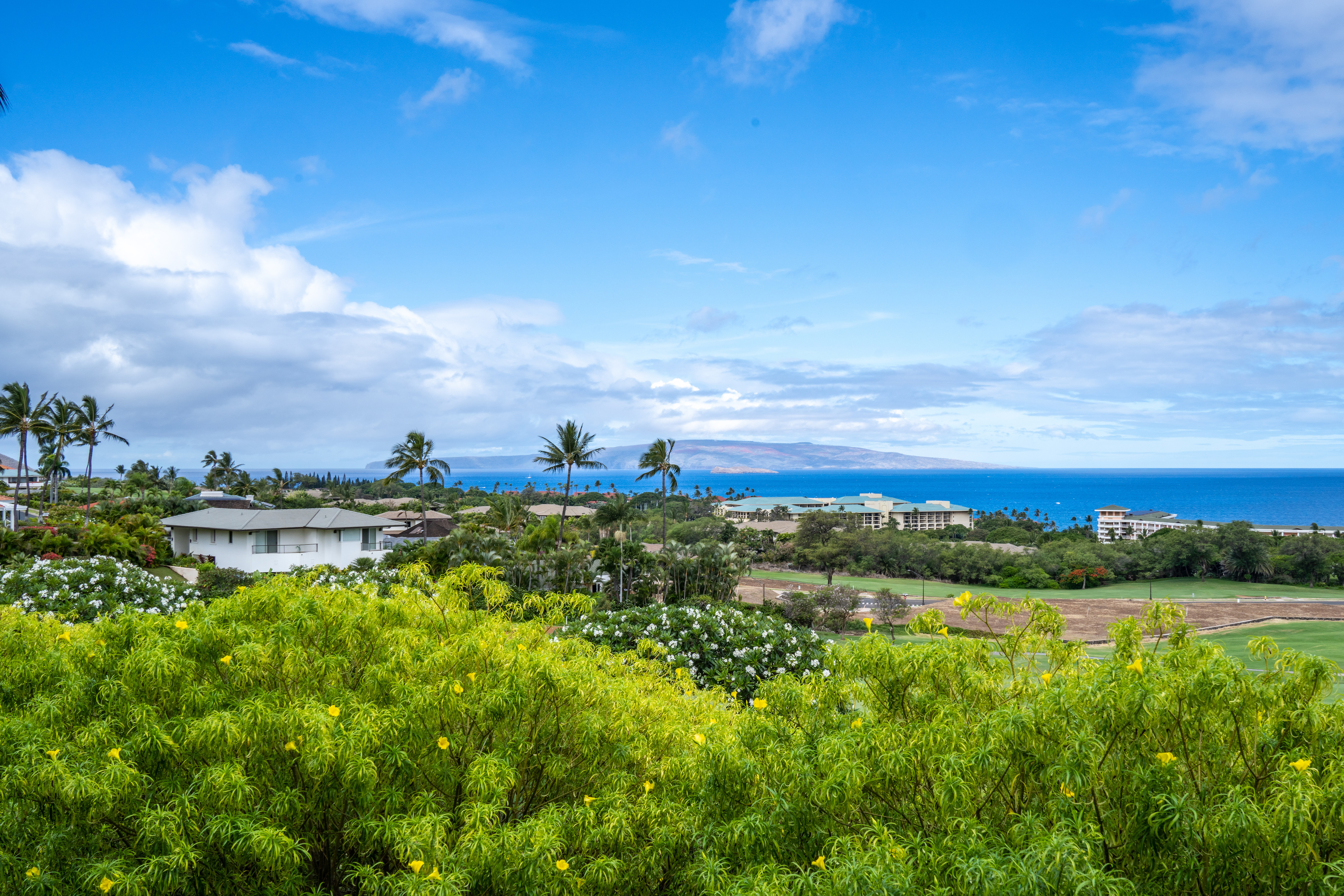 Wailea Ekolu 10 Wailea Ekolu Place #909