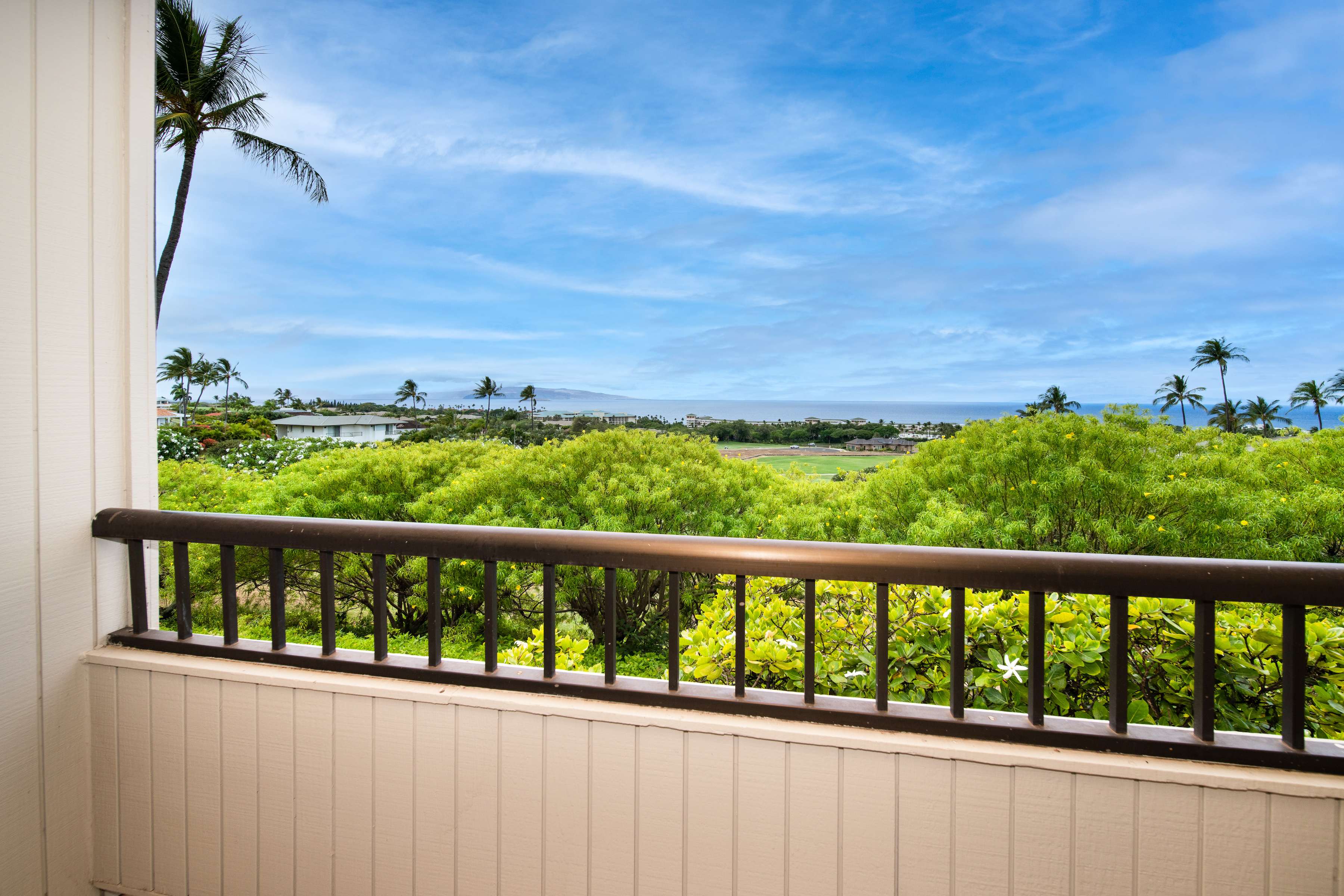 Wailea Ekolu 10 Wailea Ekolu Place #909