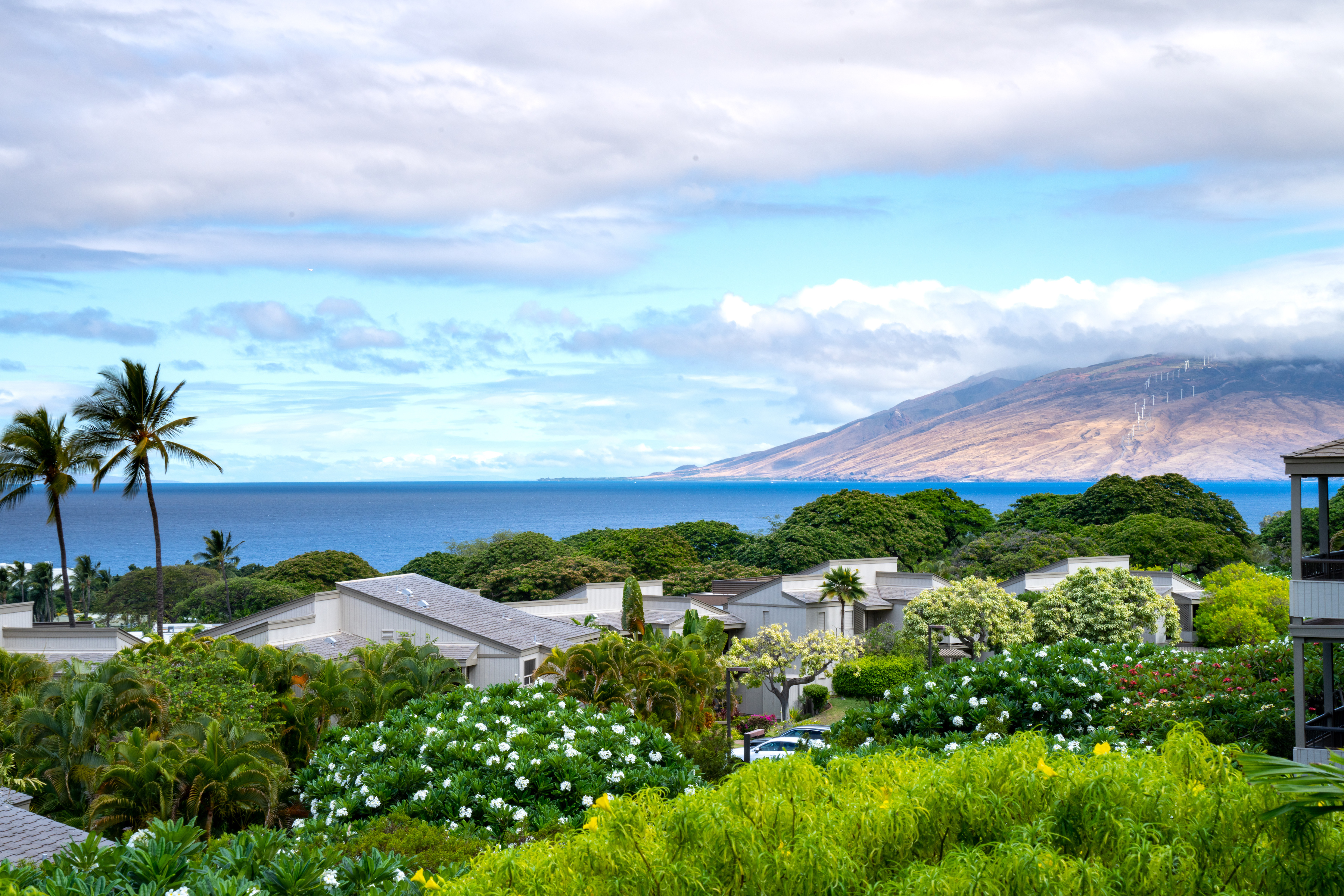 Wailea Ekolu 10 Wailea Ekolu Place #909