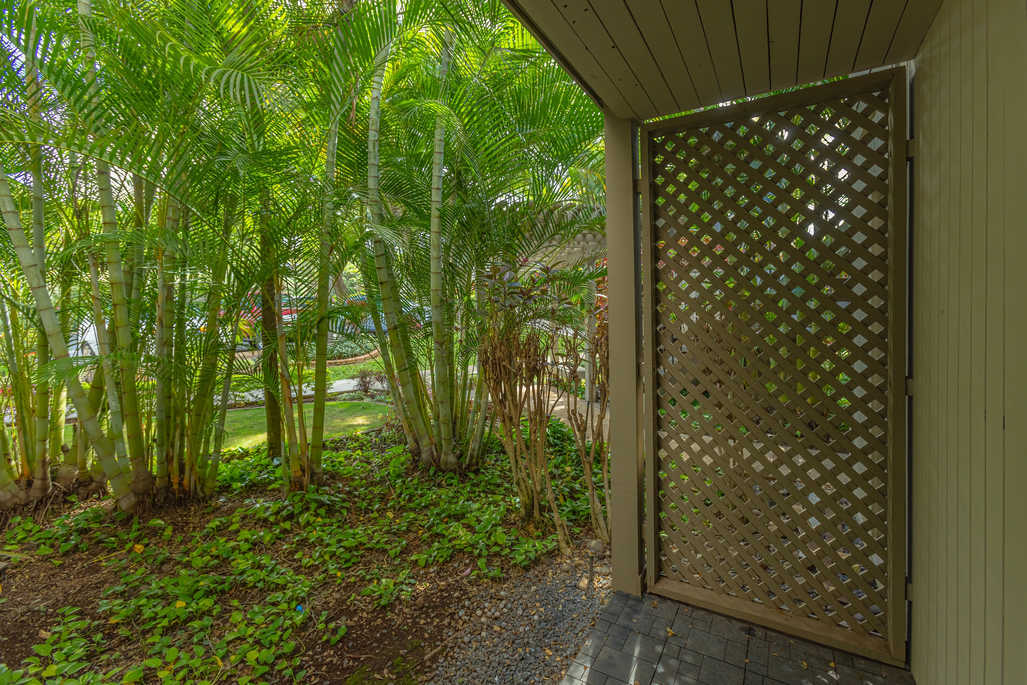 Wailea Ekolu 1305 10 Wailea Ekolu Place