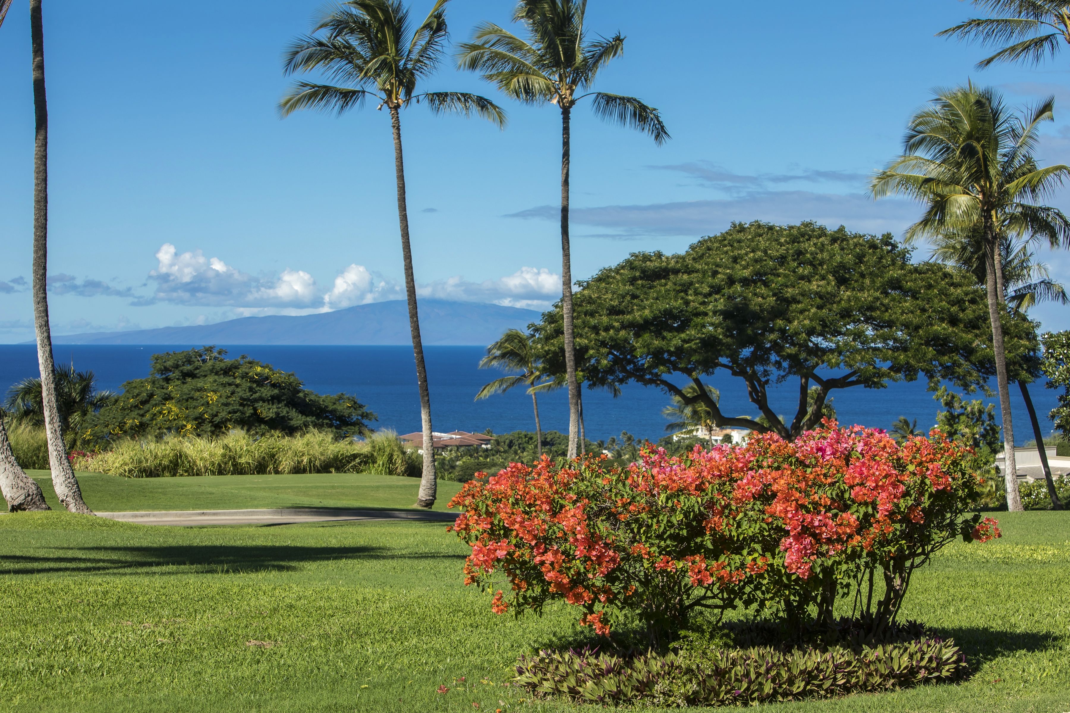 Wailea Ekolu 1305 10 Wailea Ekolu Place