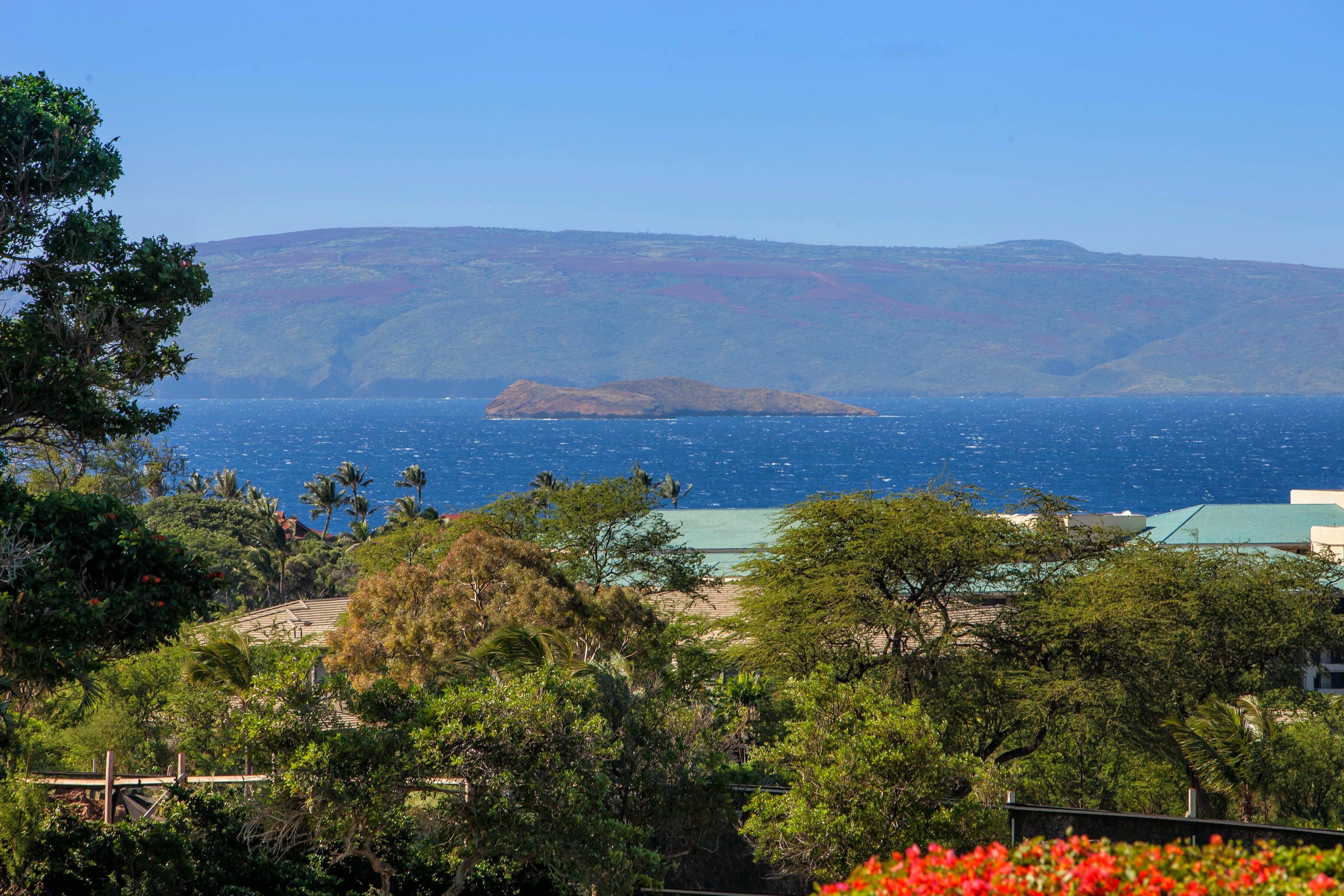 Wailea Ekolu 1305 10 Wailea Ekolu Place