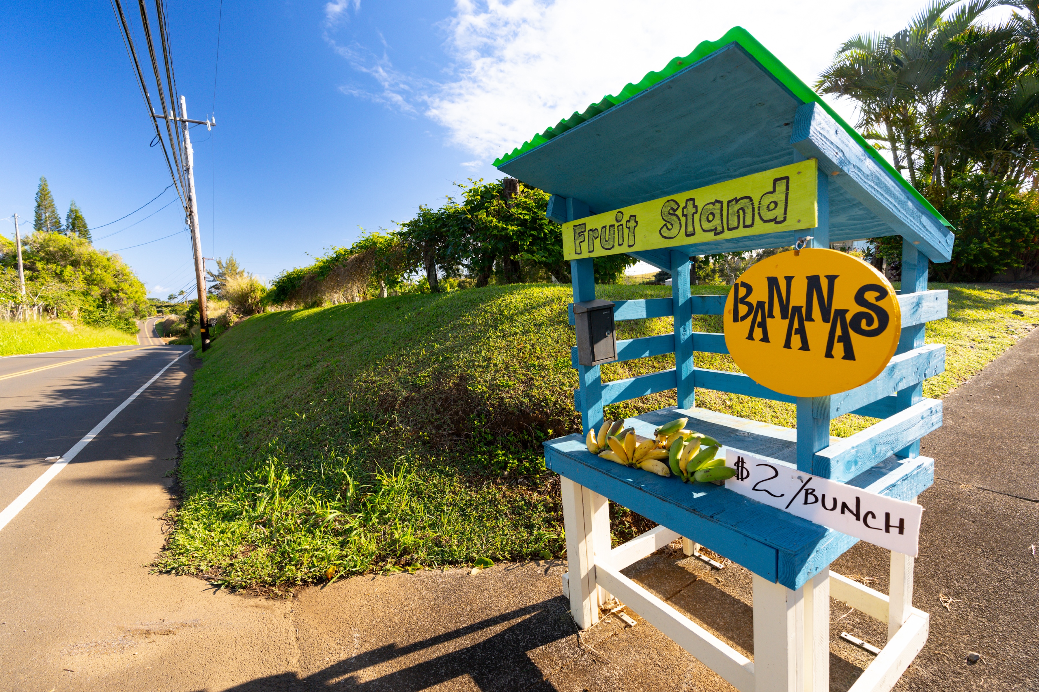1699 Kaupakalua Road