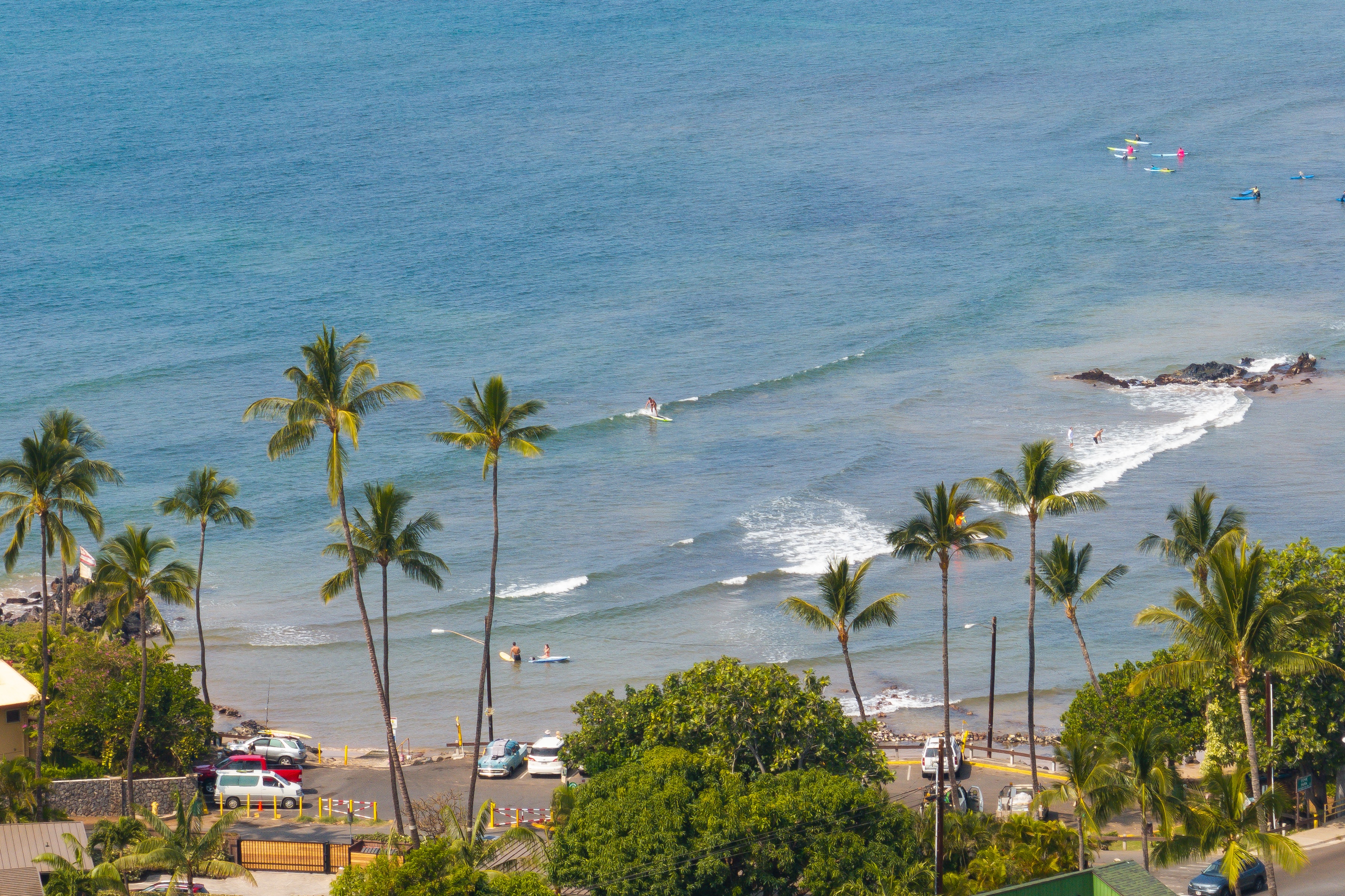 Hale Kanani I-303 44 Kanani Rd.