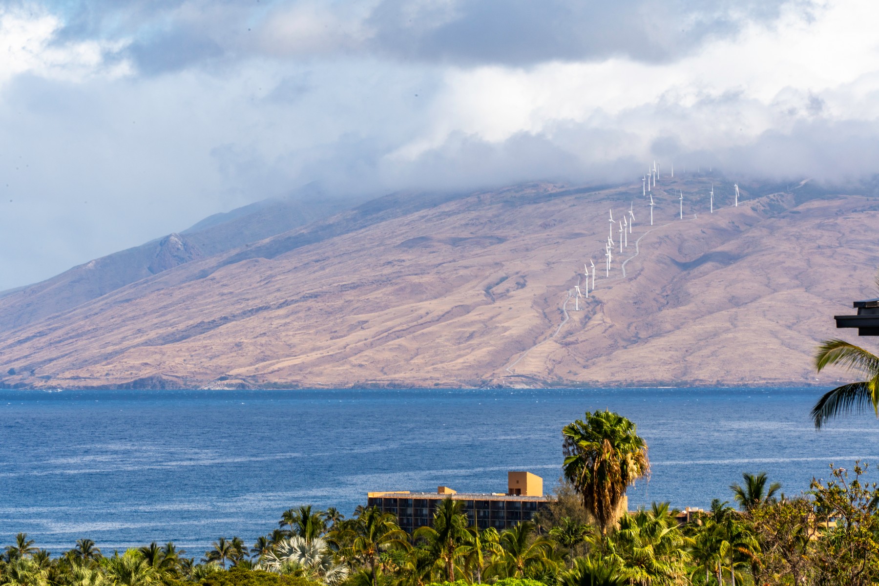 La'i Loa 5D 36 Kai Malu Drive Unit 202