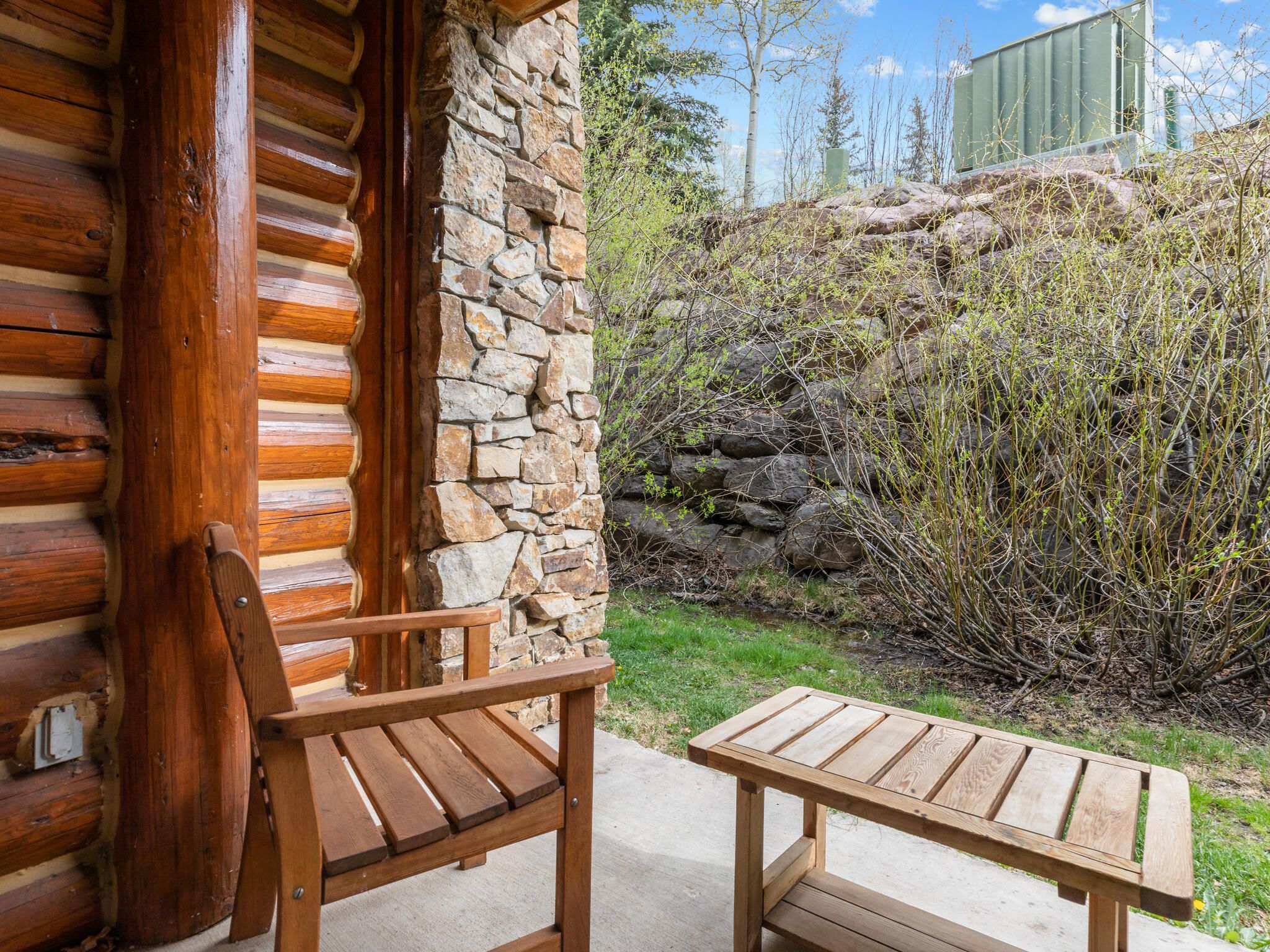 457 Mountain Village Boulevard #113-3 