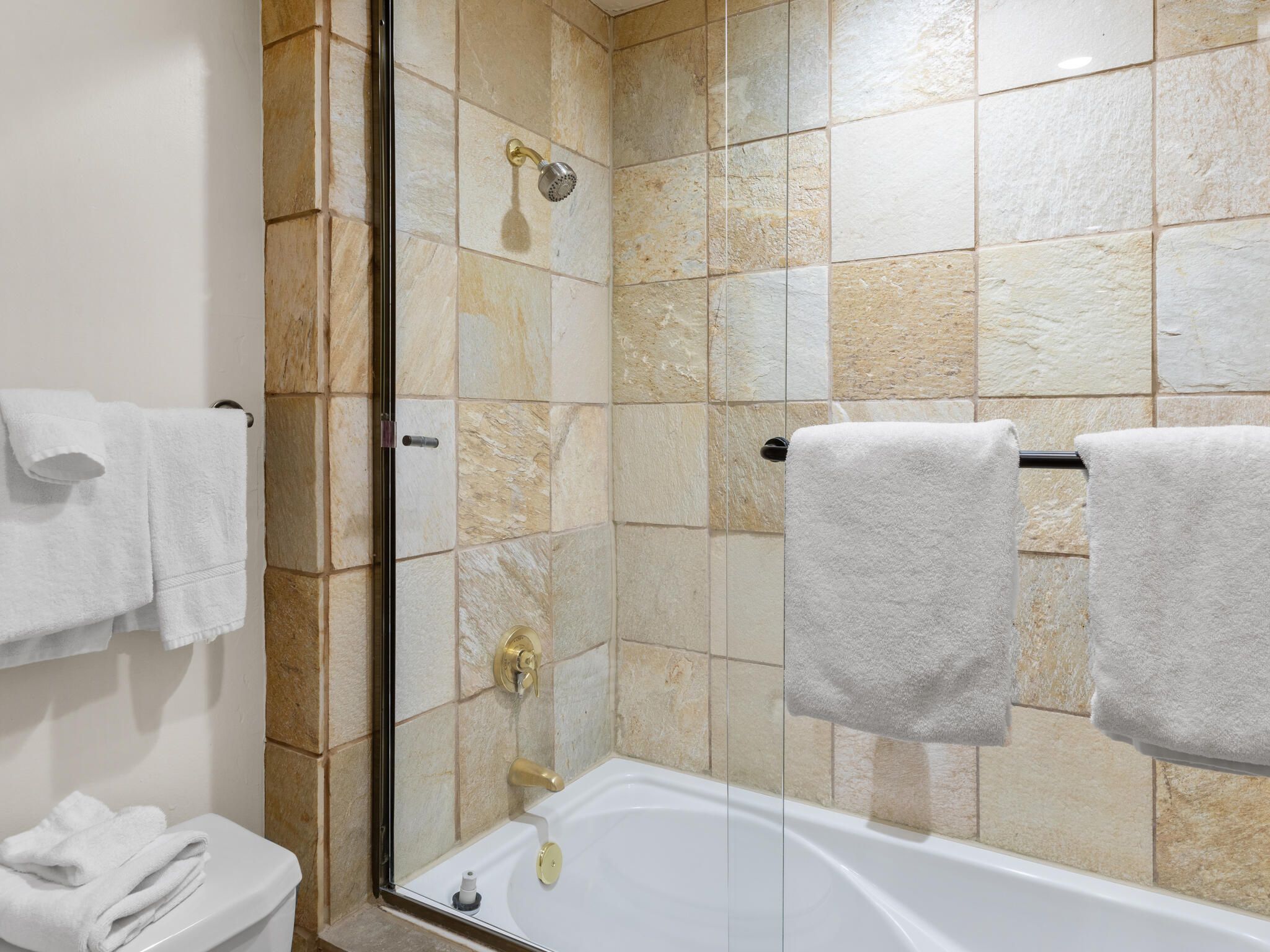 457 Mountain Village Boulevard #113-3 