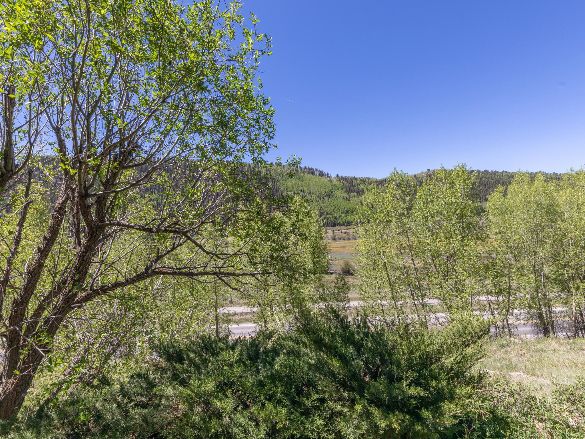 35 Pilot Knob Lane #409