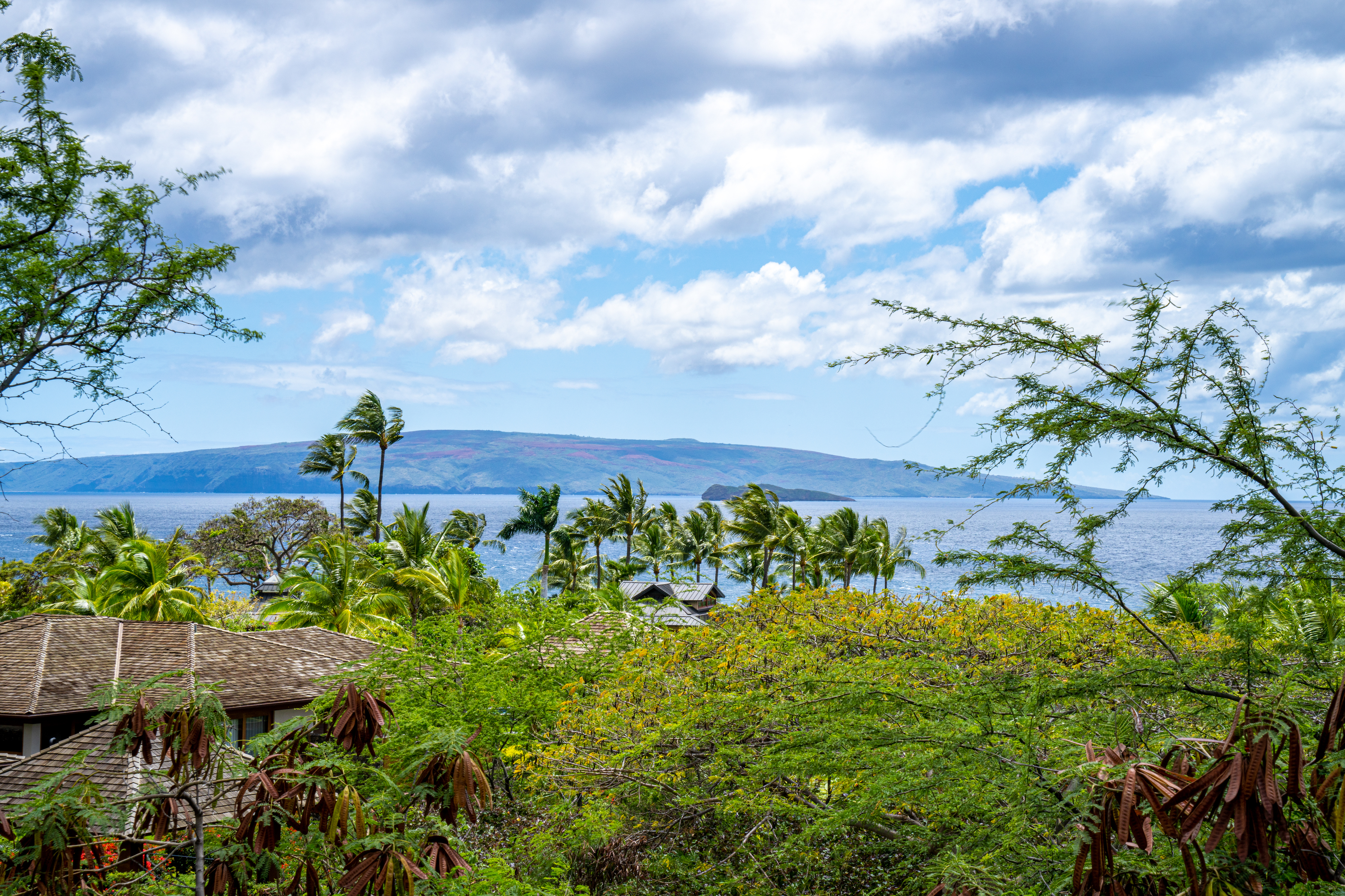 4520 Makena Alanui Drive