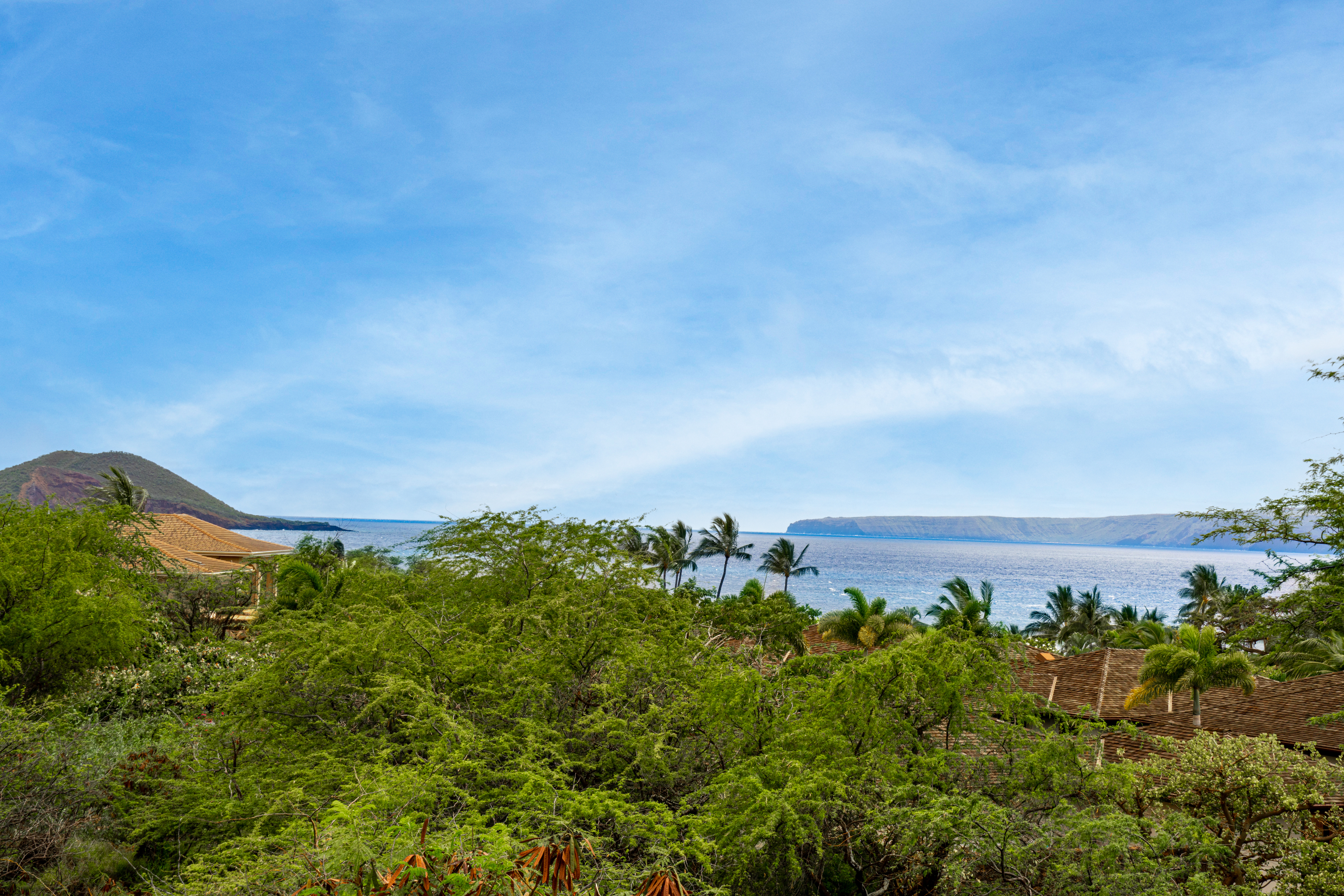 4520 Makena Alanui Drive
