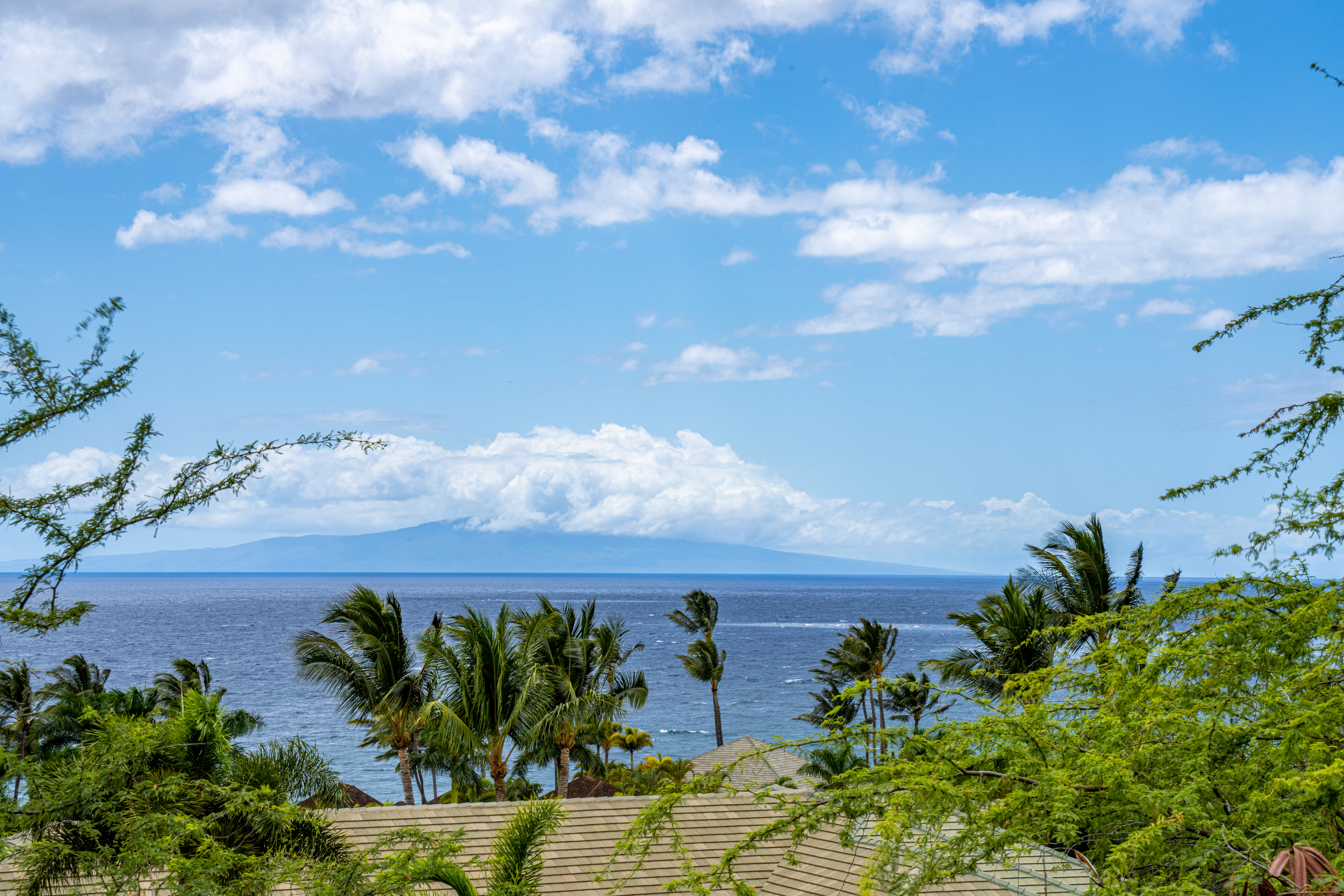 4520 Makena Alanui Drive